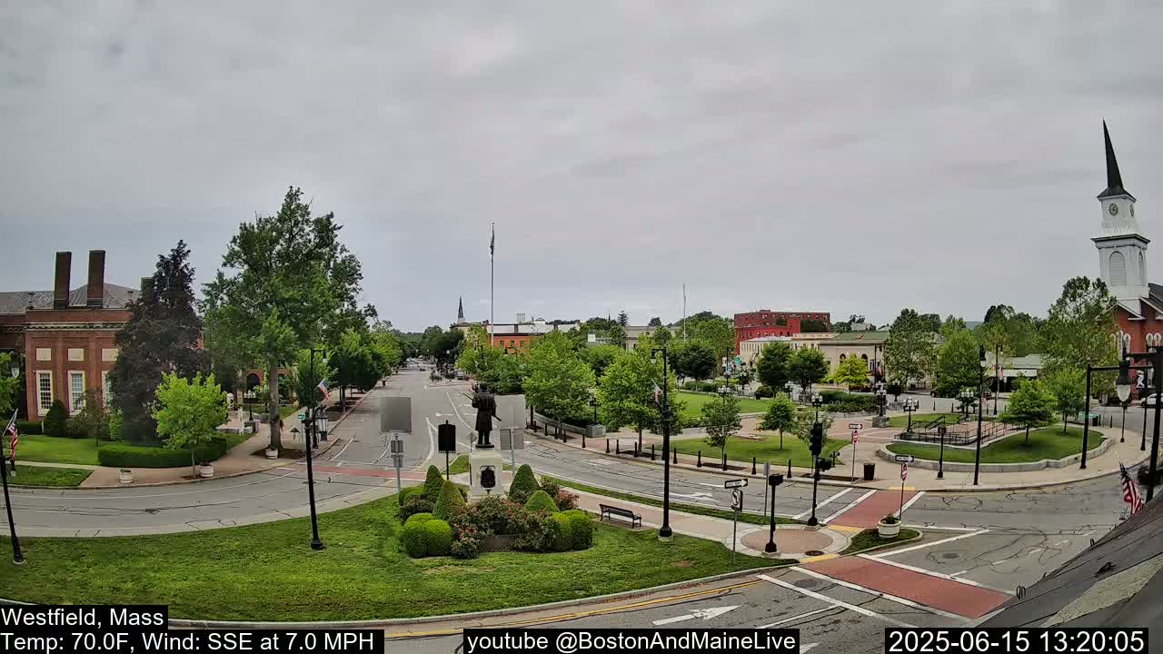 A town square with a statue, brick buildings, and lush green trees under an overcast sky.