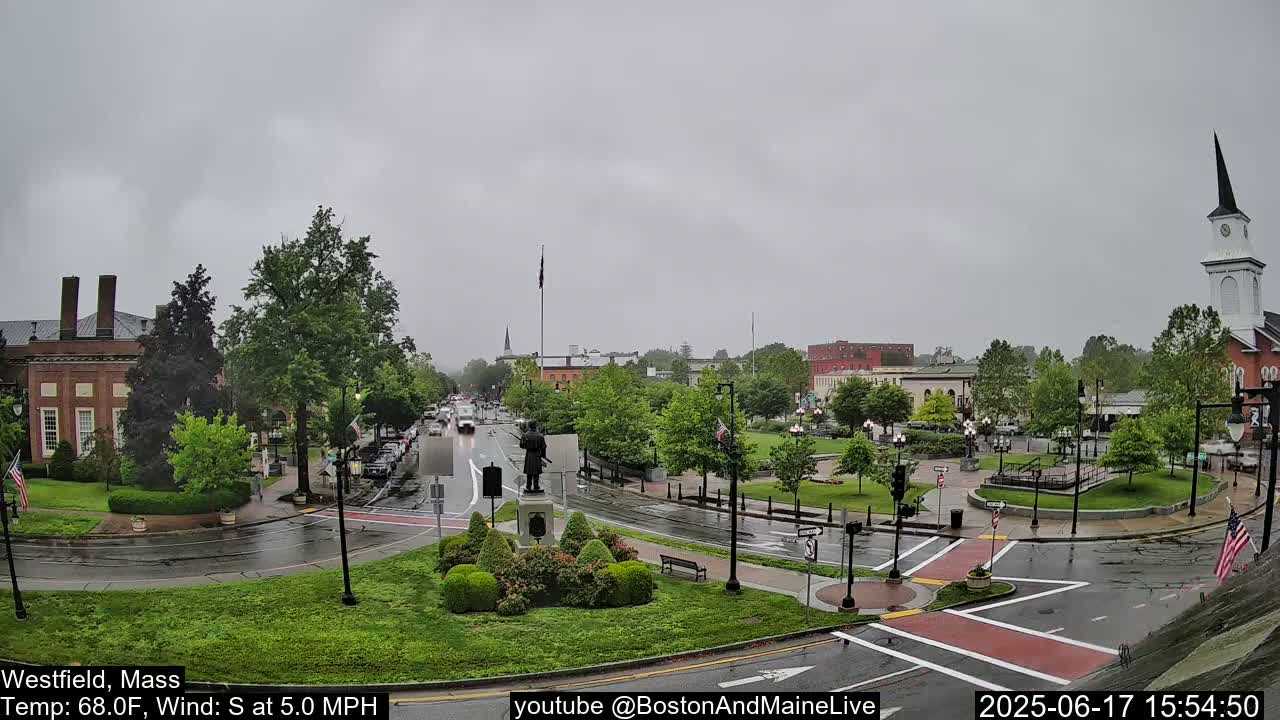 A town square with a statue in the center, surrounded by buildings and trees under an overcast sky and light rain.