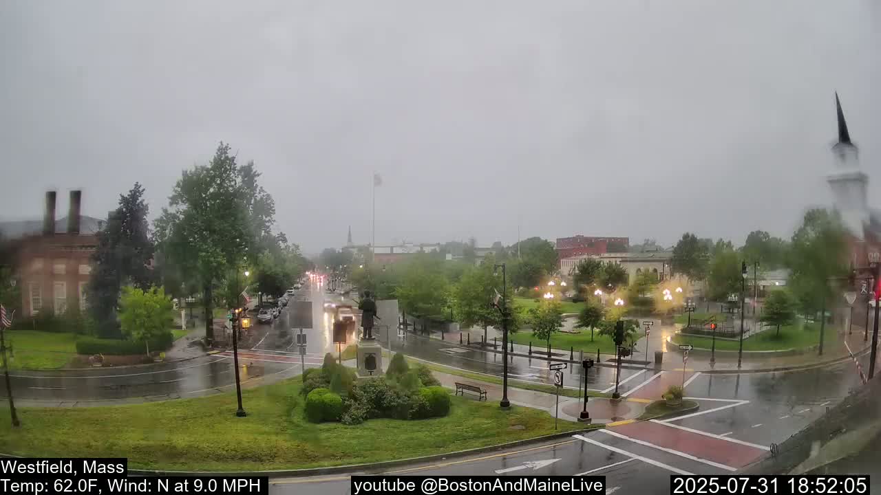 A rain-soaked town square with a statue in the center, surrounded by wet streets and buildings under a gray sky.