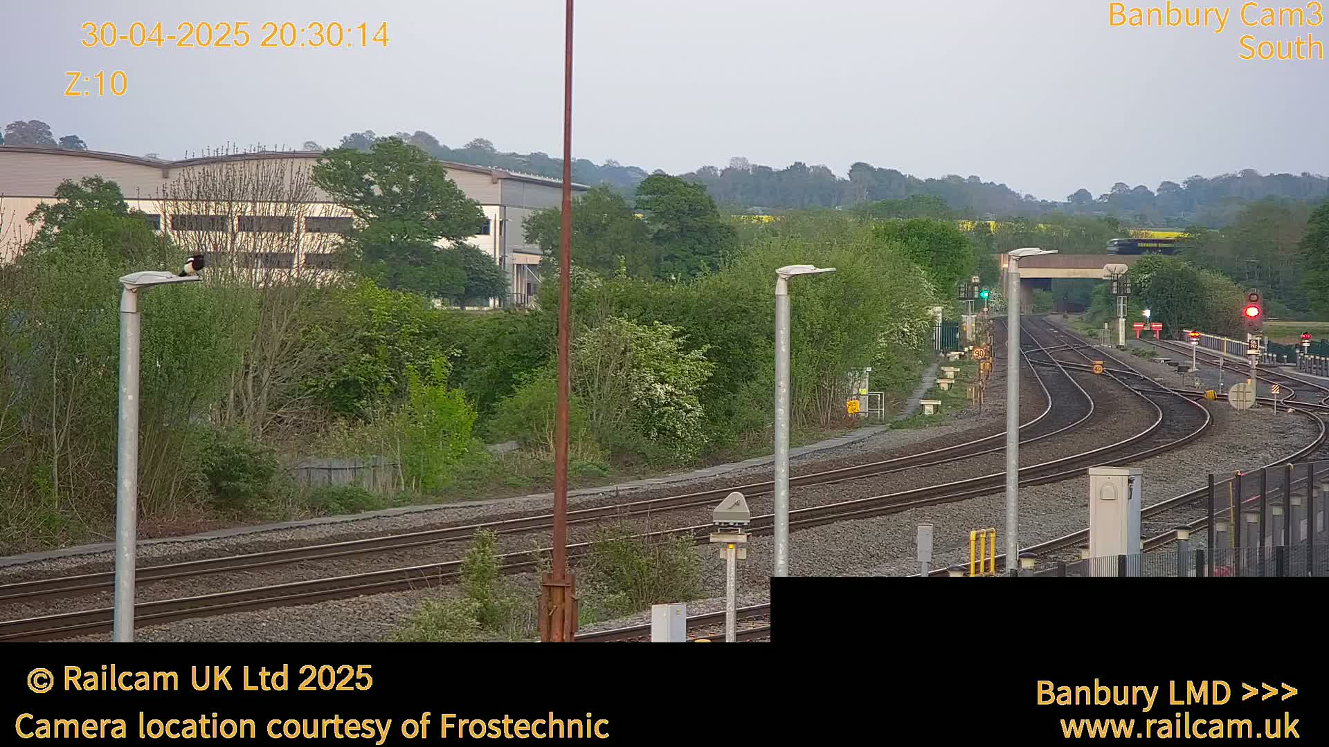 A bird perches on a lamppost overlooking a railway yard under a dusky sky.