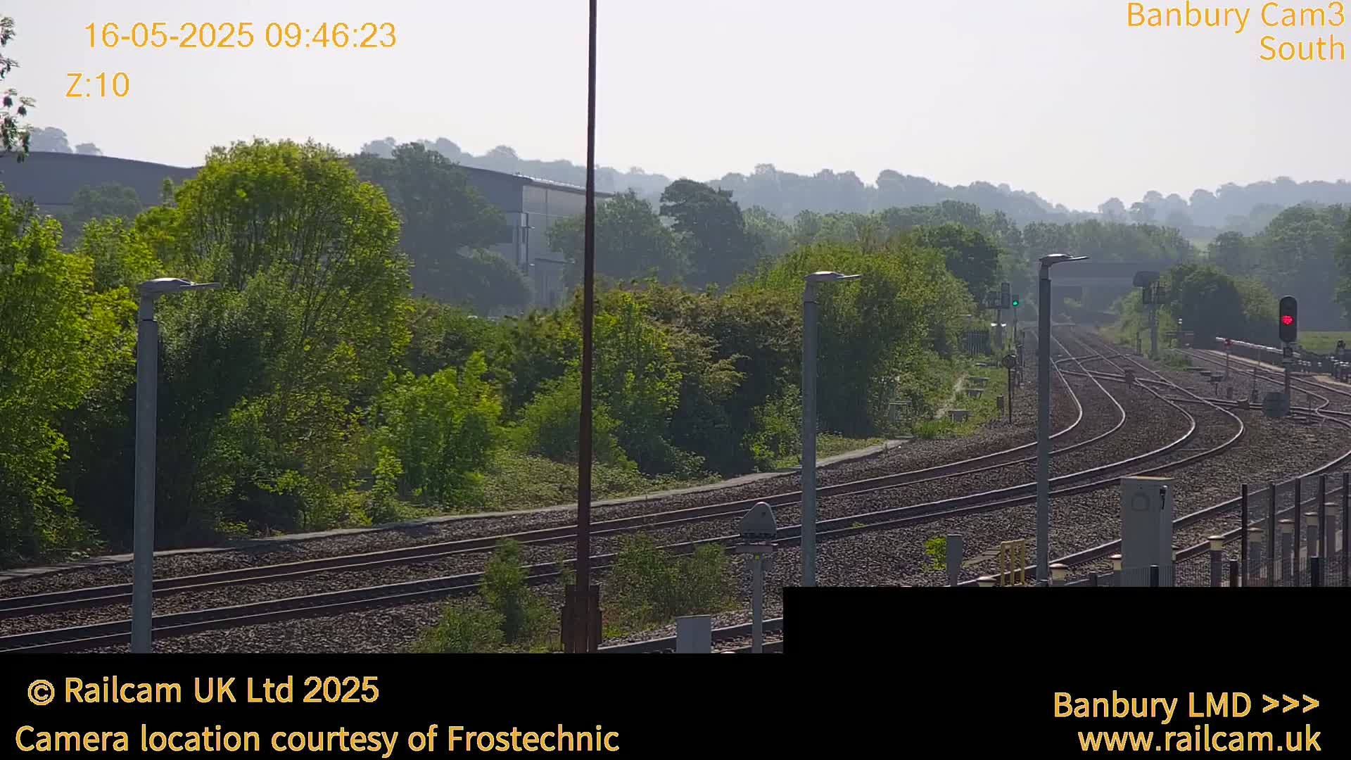 Multiple train tracks curve through a hazy, sunny landscape of lush green trees and foliage.