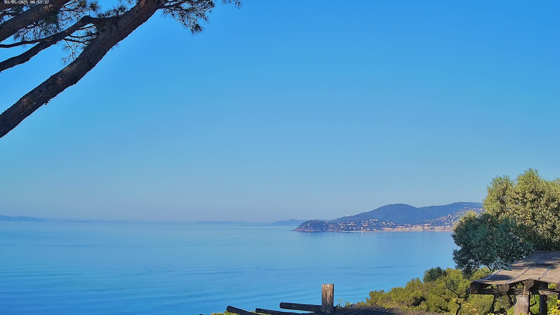 A tranquil coastal scene under a clear blue sky shows a calm sea extending to a distant mountainous shoreline, partially obscured by a pine tree branch and a wooden structure in the foreground.