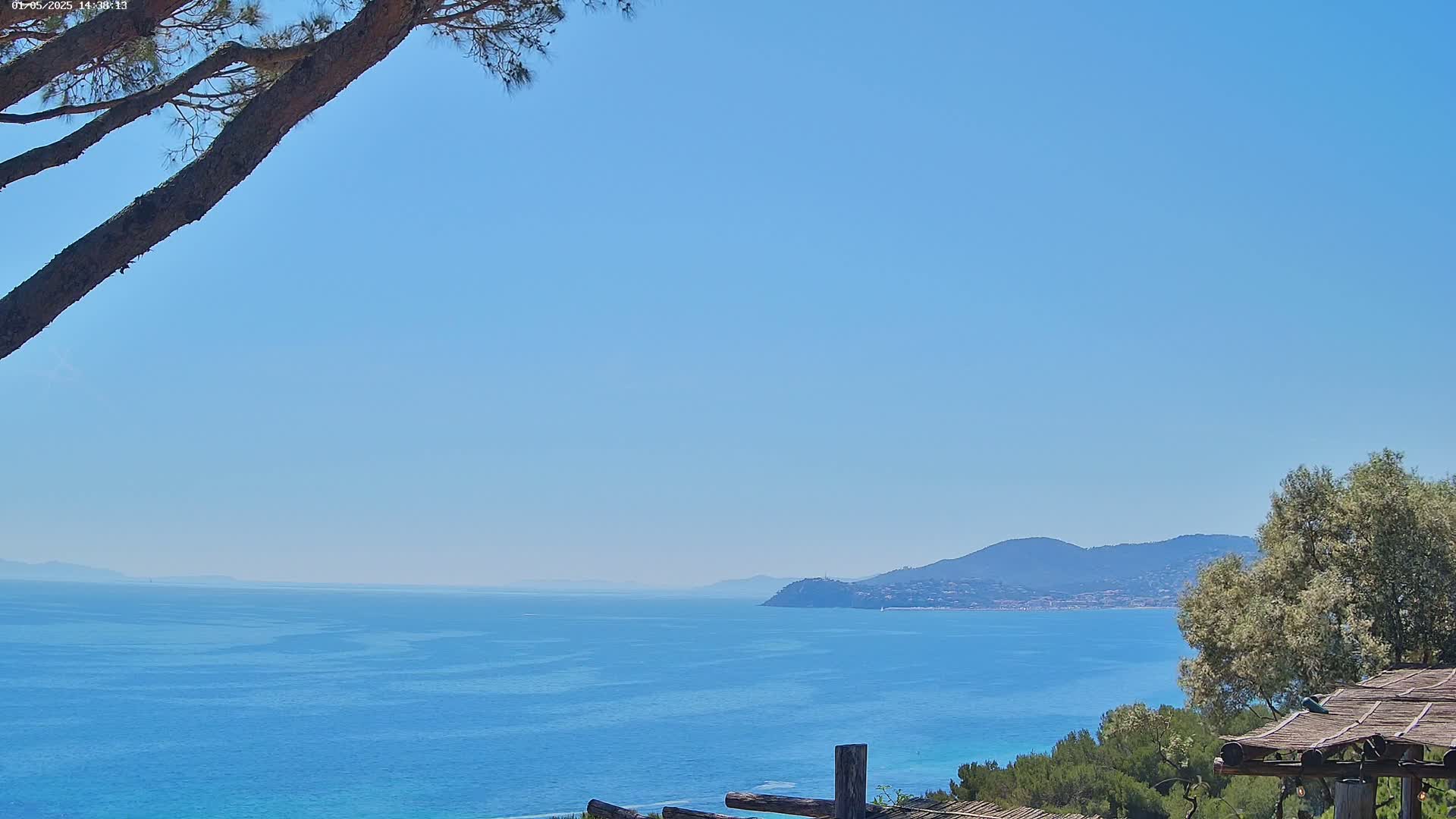 A clear blue sky overlooks a calm, turquoise ocean stretching to a distant mountain range, partially obscured by the branches of a pine tree and other vegetation in the foreground.