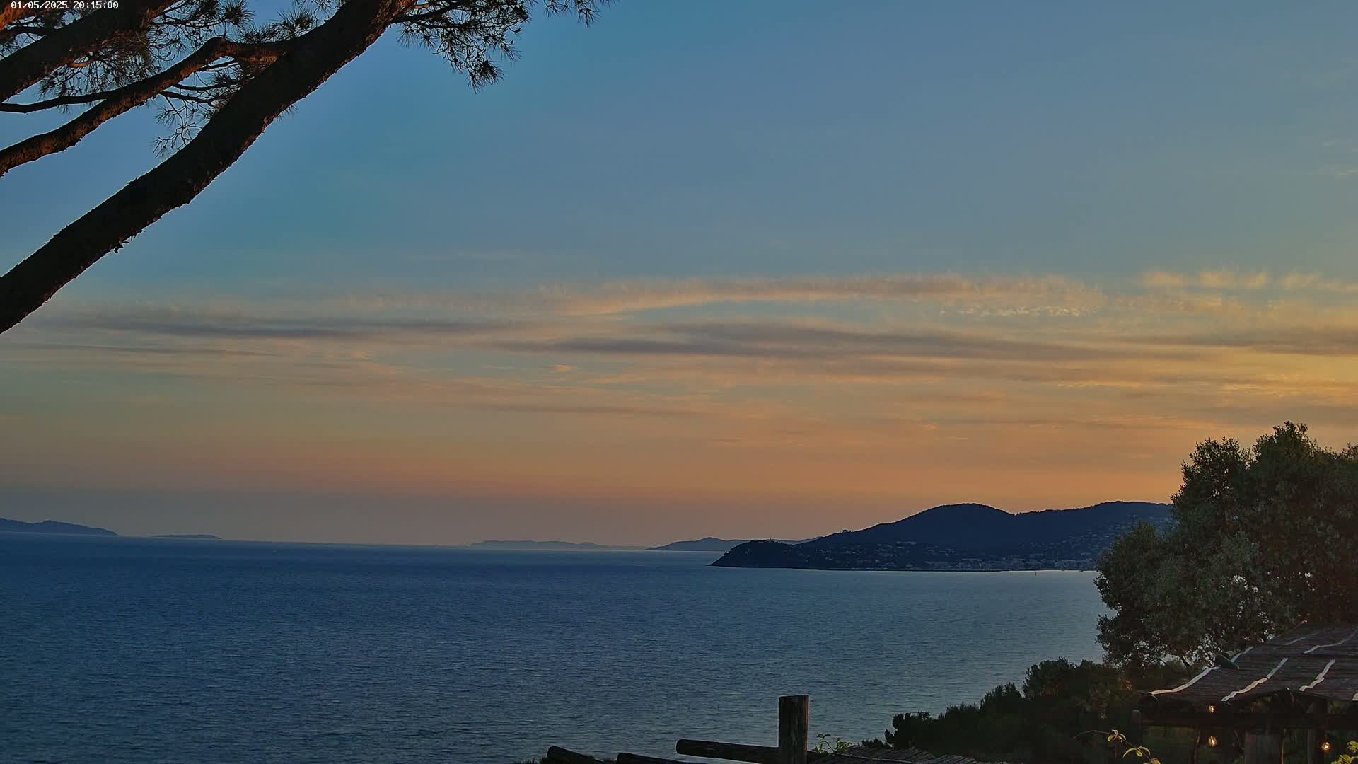 A tranquil ocean scene at sunset, with a calm sea, distant mountains, and a partially visible pine tree in the foreground under a pastel sky.
