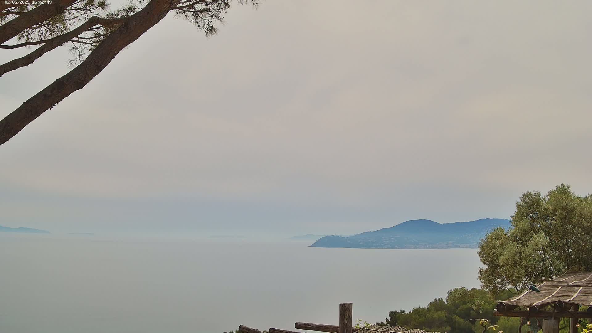A hazy, overcast day reveals a calm sea with distant hills and a partial view of a tree in the foreground.