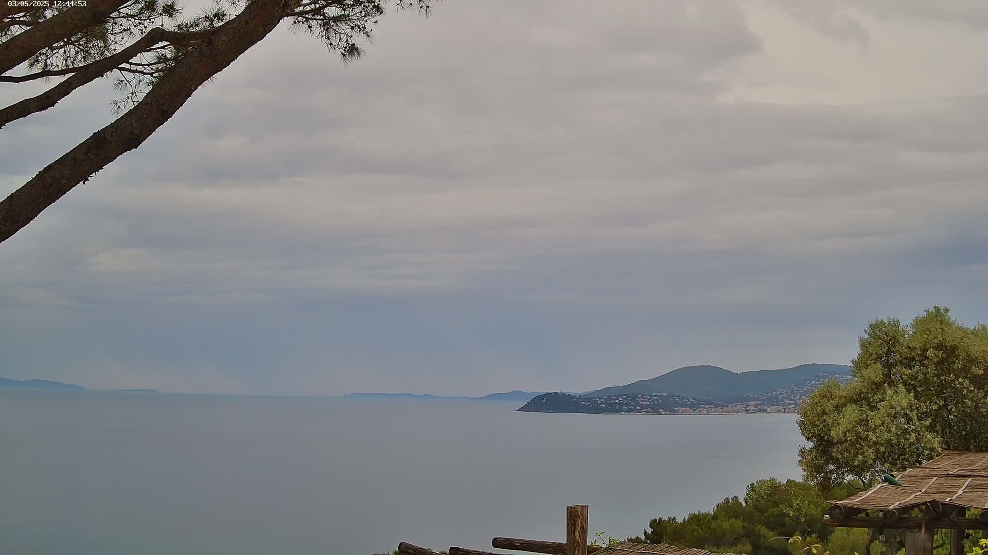 A calm, overcast day shows a large body of water with a distant mountain range and a tree branch in the foreground.