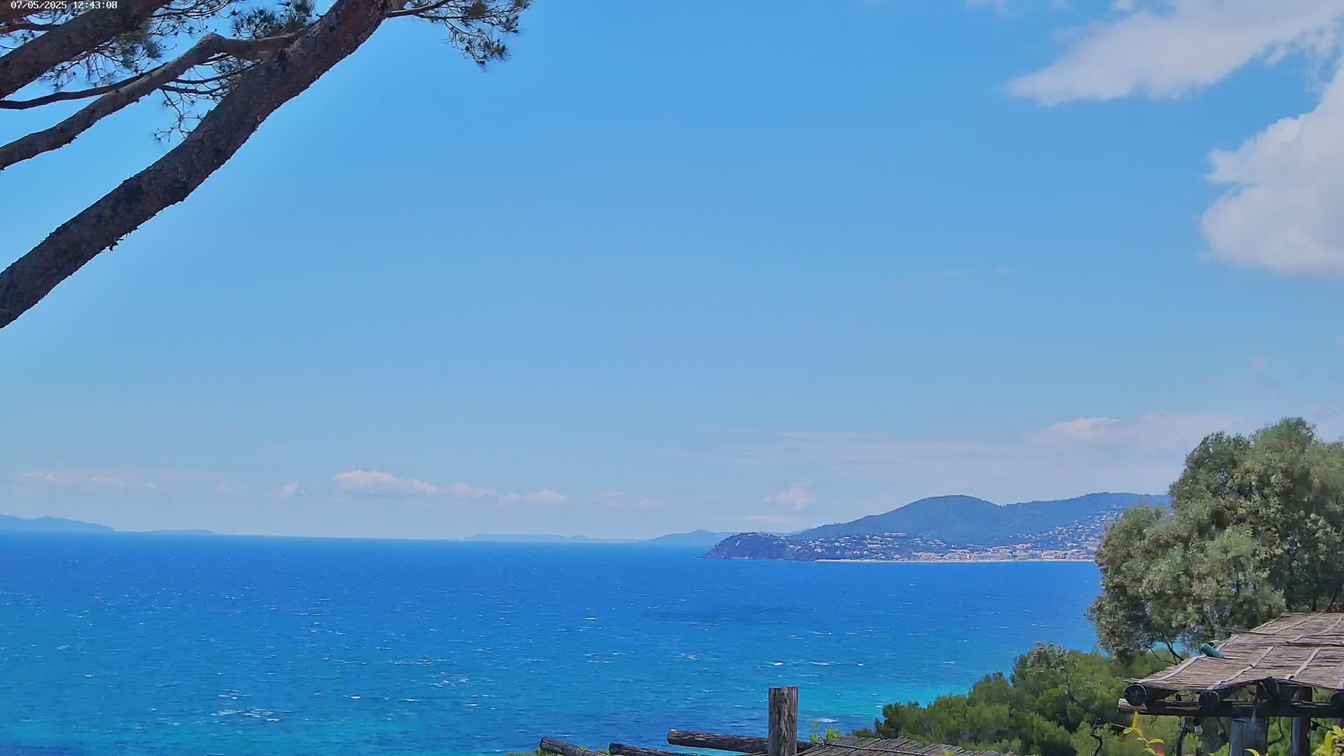 A partly cloudy blue sky overlooks a calm, blue ocean with a distant coastline and hills, partially obscured by tree branches in the foreground.