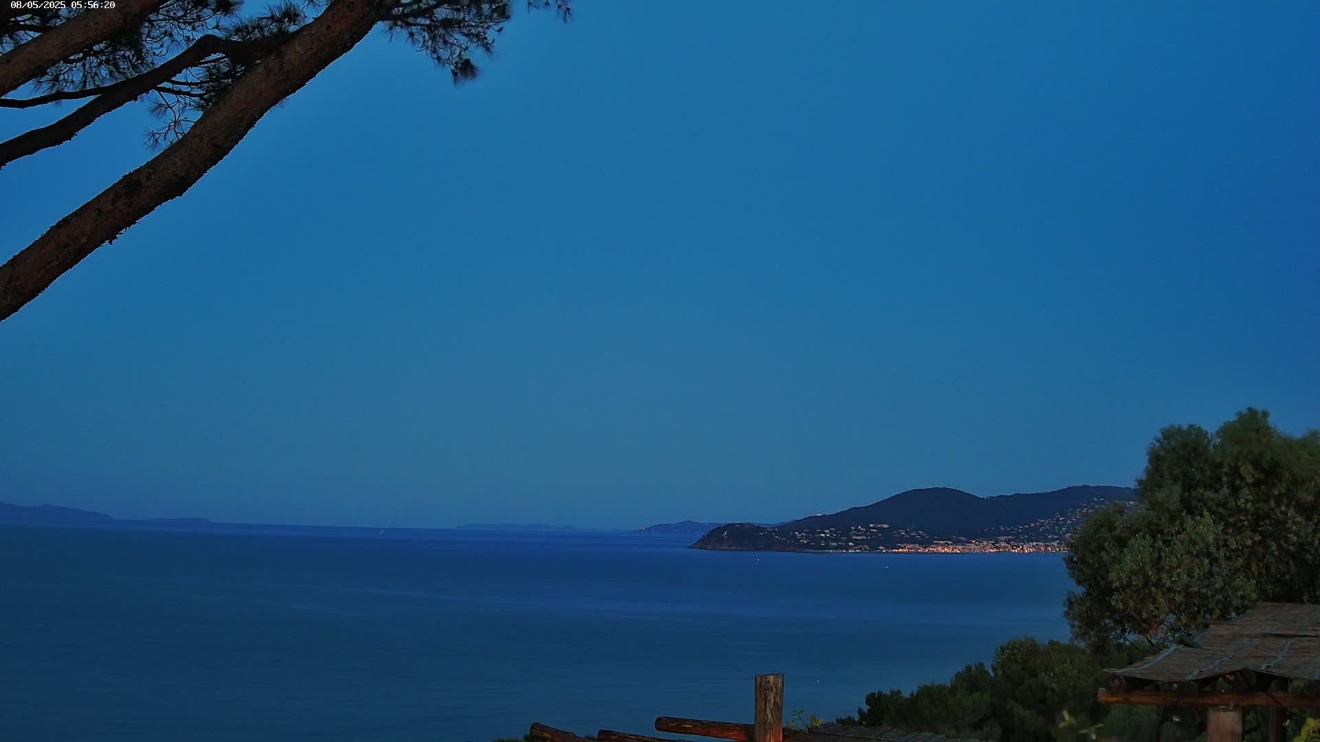 Under a twilight blue sky, a calm sea stretches to a distant coastline with a town's lights visible, partially obscured by tree branches in the foreground.