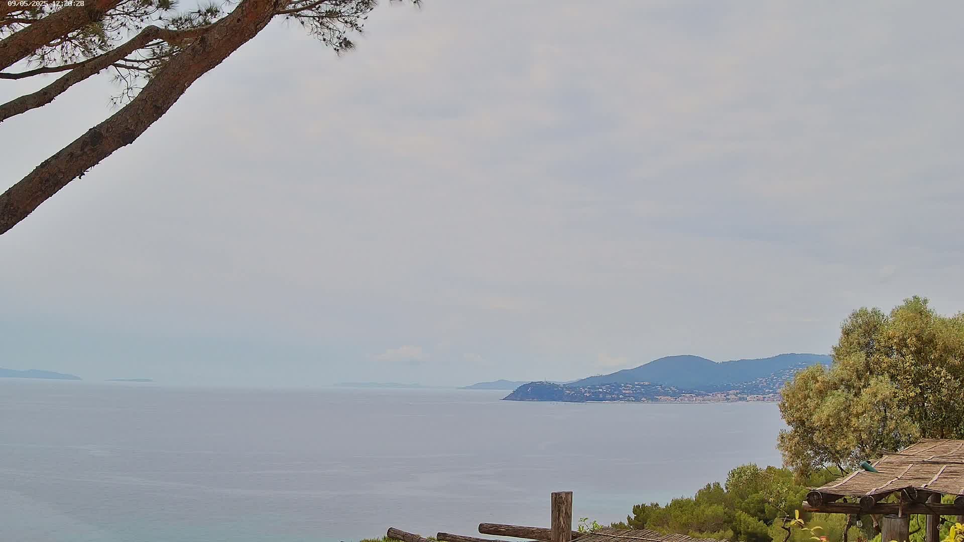 A tranquil coastal scene under a cloudy sky shows a calm sea extending to distant hills and a partial view of tree branches in the foreground.