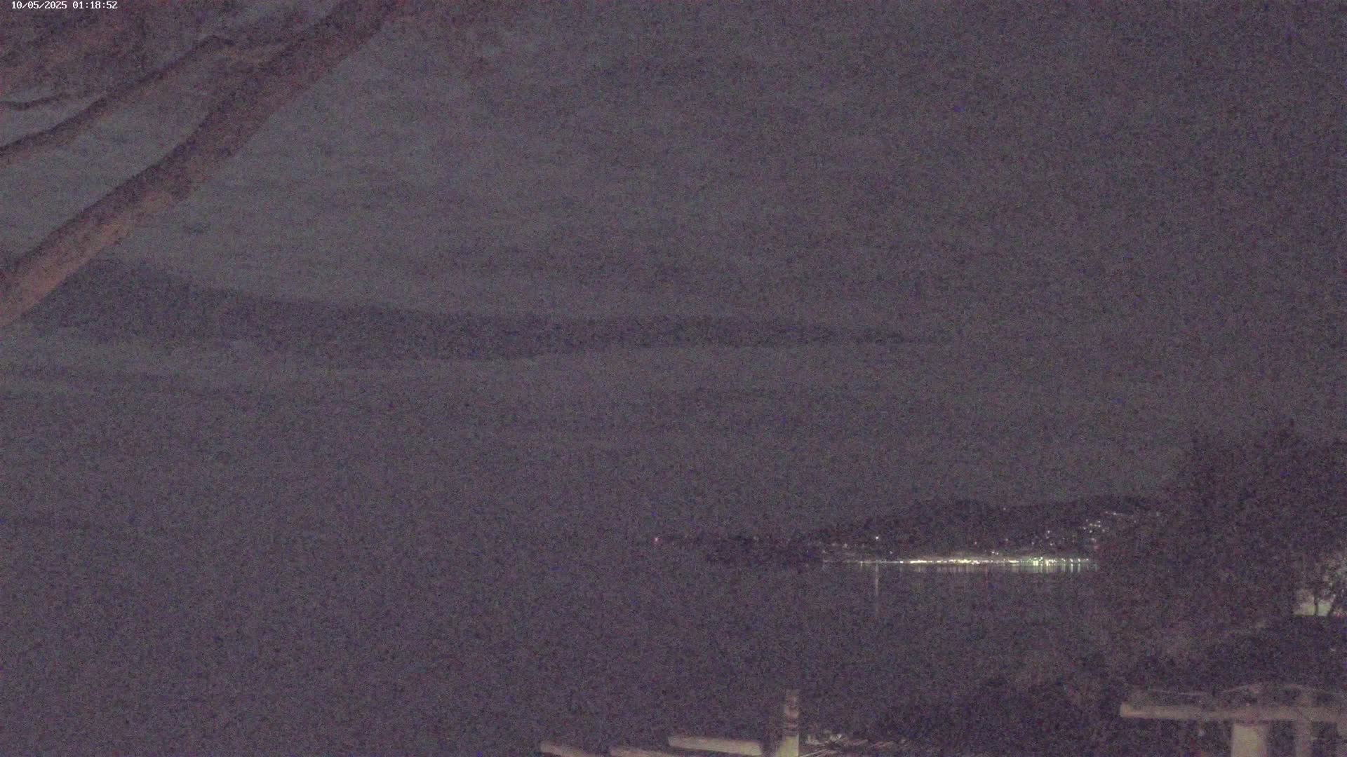 A nighttime, slightly cloudy view of a body of water with lights visible on the far shore, partially obscured by silhouettes of trees and branches.