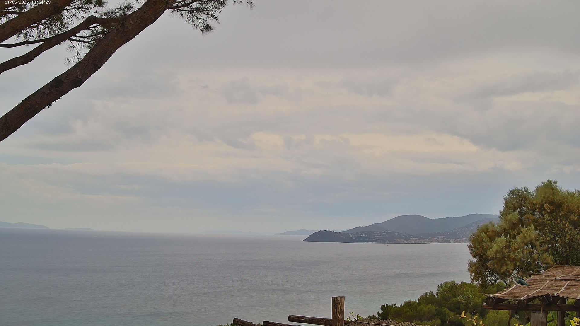 A tranquil coastal scene under a cloudy sky shows a calm sea extending to distant hills and a partially visible tree in the foreground.