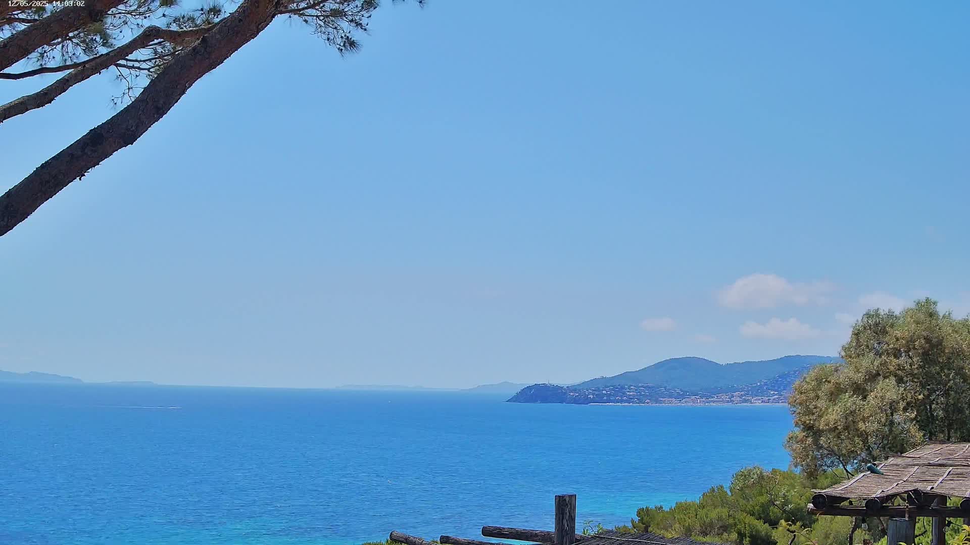 A tranquil seaside scene under a clear blue sky shows a calm blue sea extending to a distant mountainous coastline partially obscured by a tree branch in the foreground.