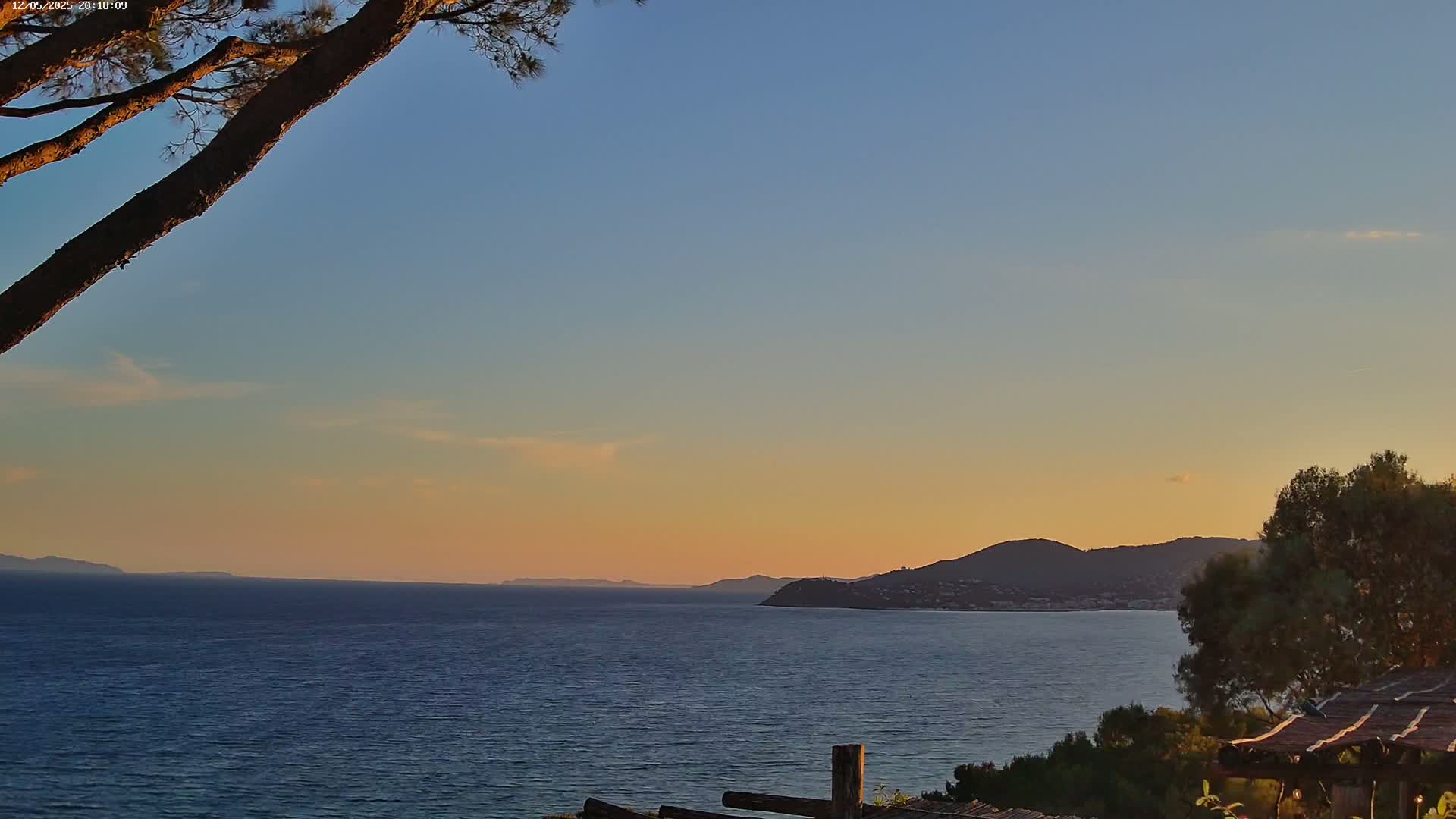 A tranquil sunset over a calm ocean, with a distant mountain range and a tree branch in the foreground.