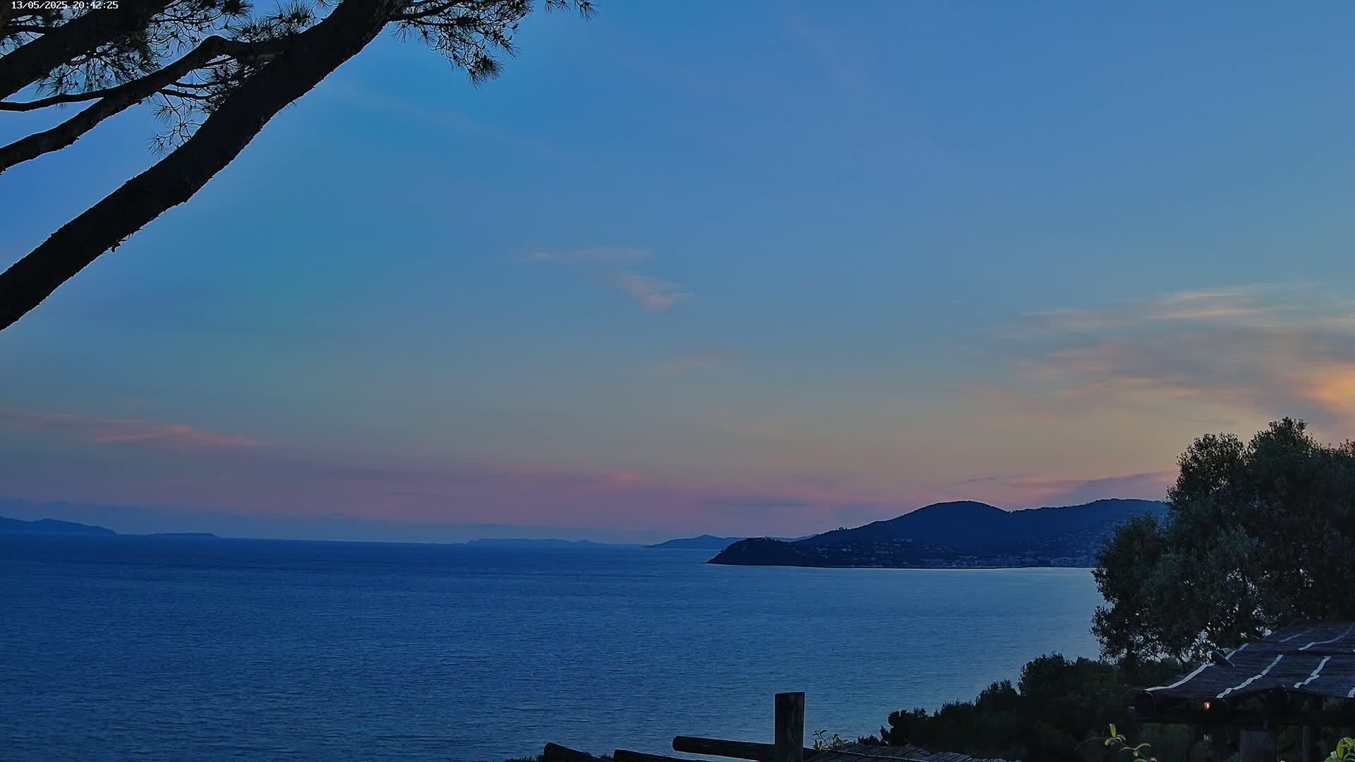 A tranquil coastal scene at sunset shows a calm sea stretching to distant mountains under a pale pink and blue sky, partially obscured by a tree branch in the foreground.