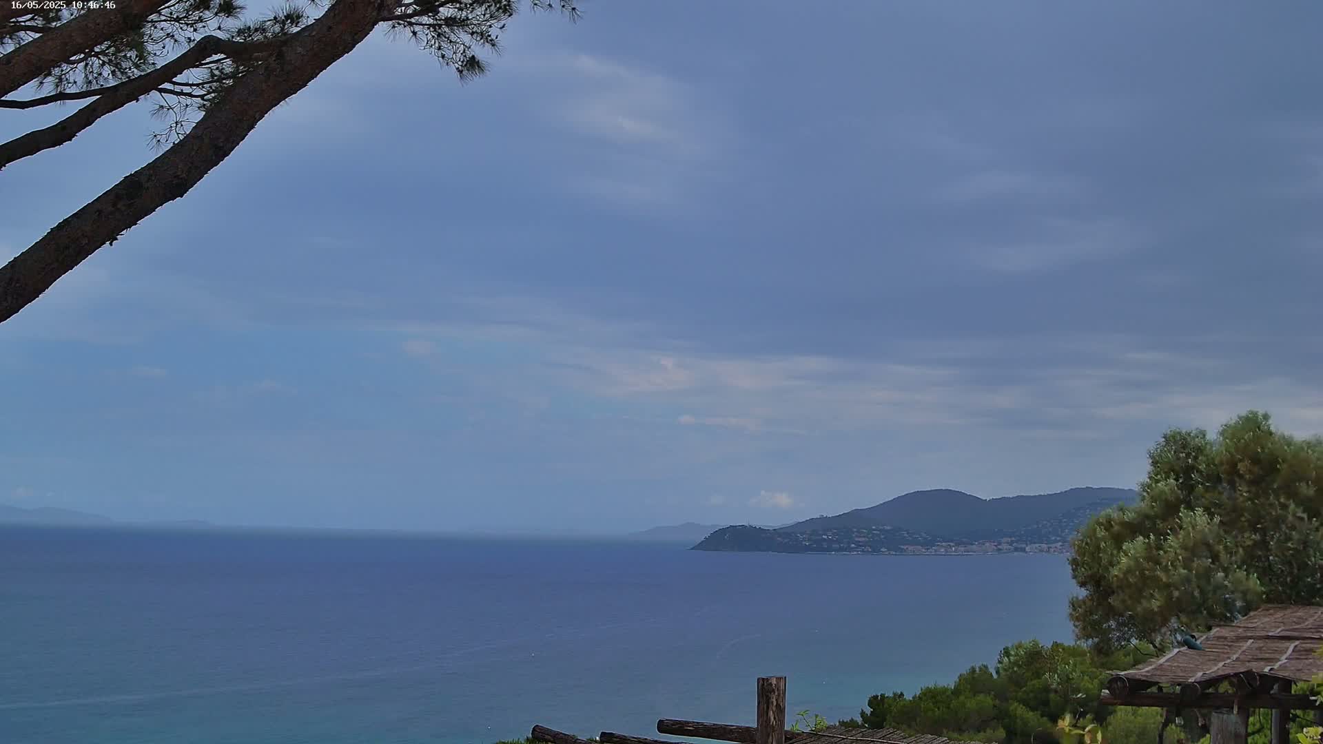A calm, blue sea stretches to a distant mountain range under a mostly cloudy sky, partially obscured by a tree branch in the foreground.