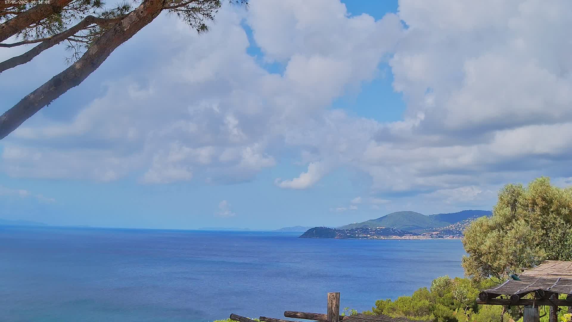 A partly cloudy sky overlooks a calm blue ocean with a distant mountainous shoreline and a tree branch in the foreground.