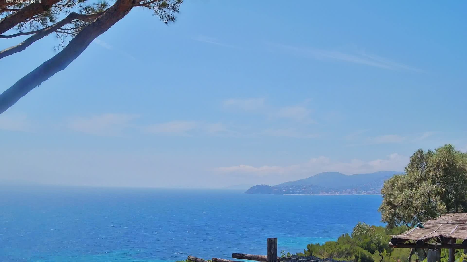 A tranquil ocean view under a mostly clear blue sky is partially obscured by the branches of a pine tree and shows a distant mountain range.