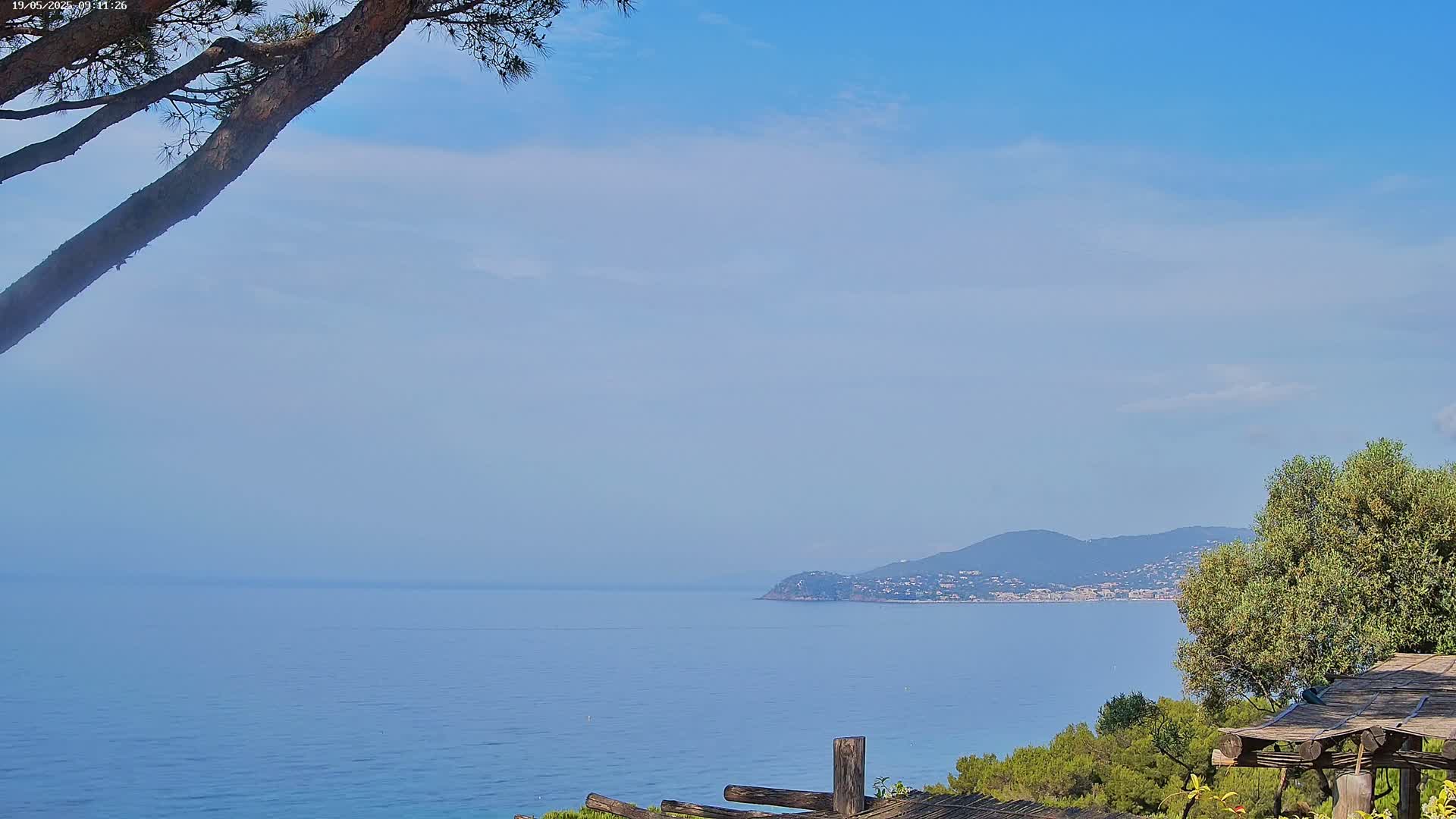 A tranquil coastal scene under a mostly clear blue sky shows a calm blue sea extending to a distant mountain range, partially obscured by a tree branch in the foreground and vegetation along the right.