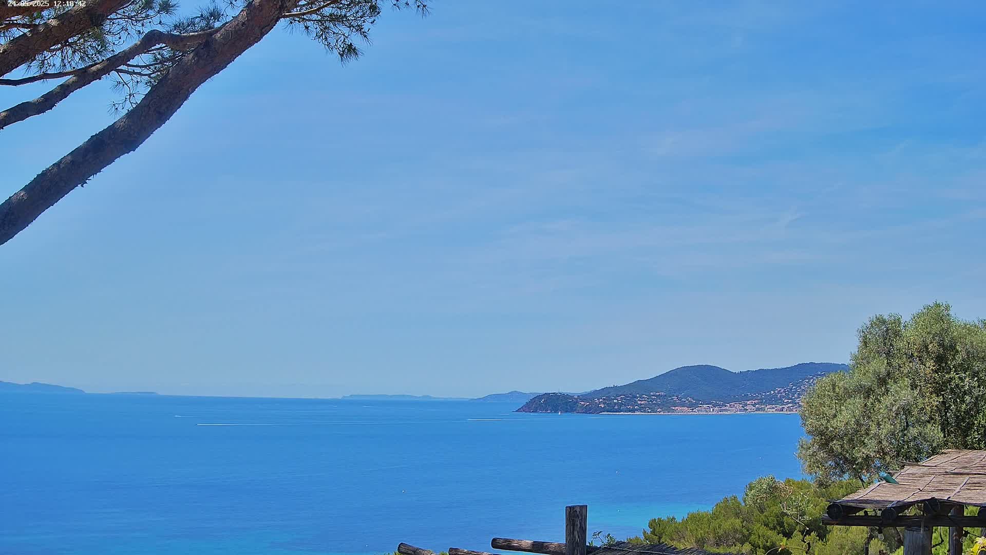 A tranquil coastal scene under a clear blue sky shows a calm blue sea stretching to a distant mountainous shoreline, partially obscured by the branches of a pine tree and other vegetation in the foreground.