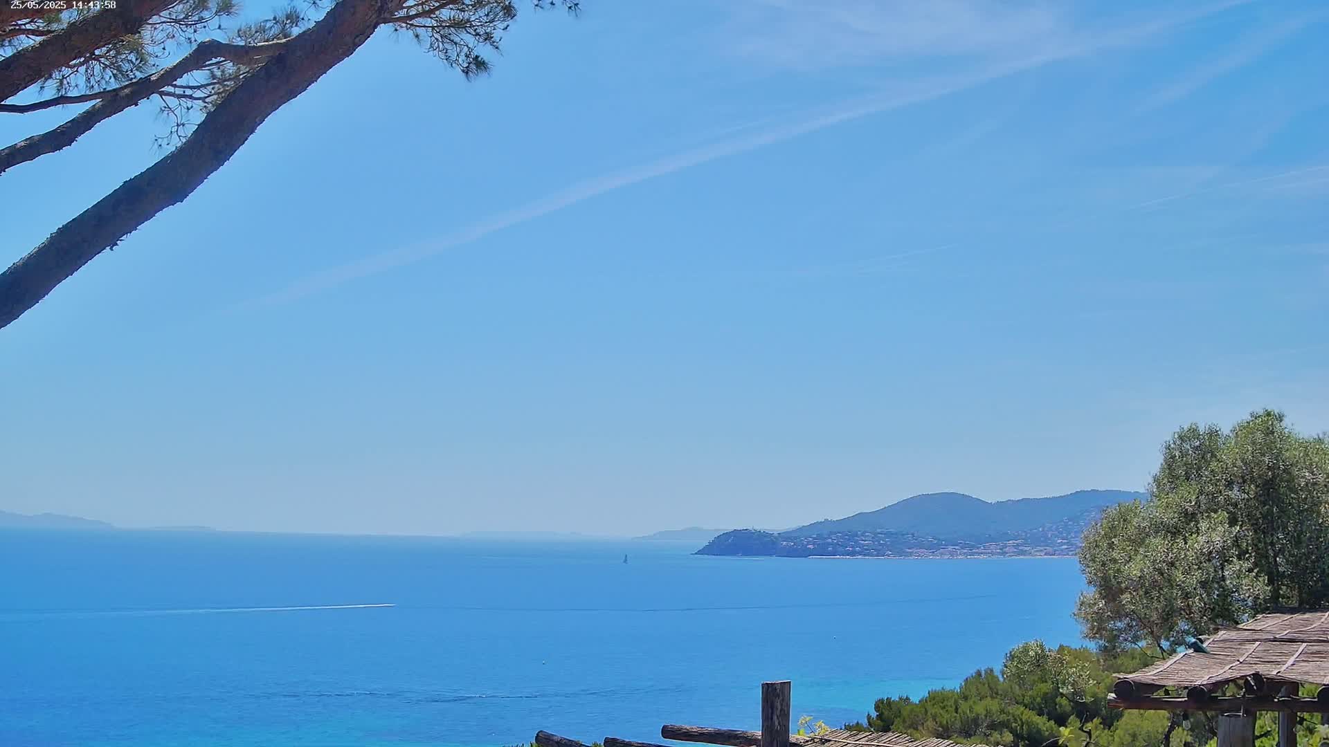 A tranquil blue ocean stretches to a distant coastline under a clear, bright sky, partially obscured by the branches of a pine tree and a small structure in the foreground.