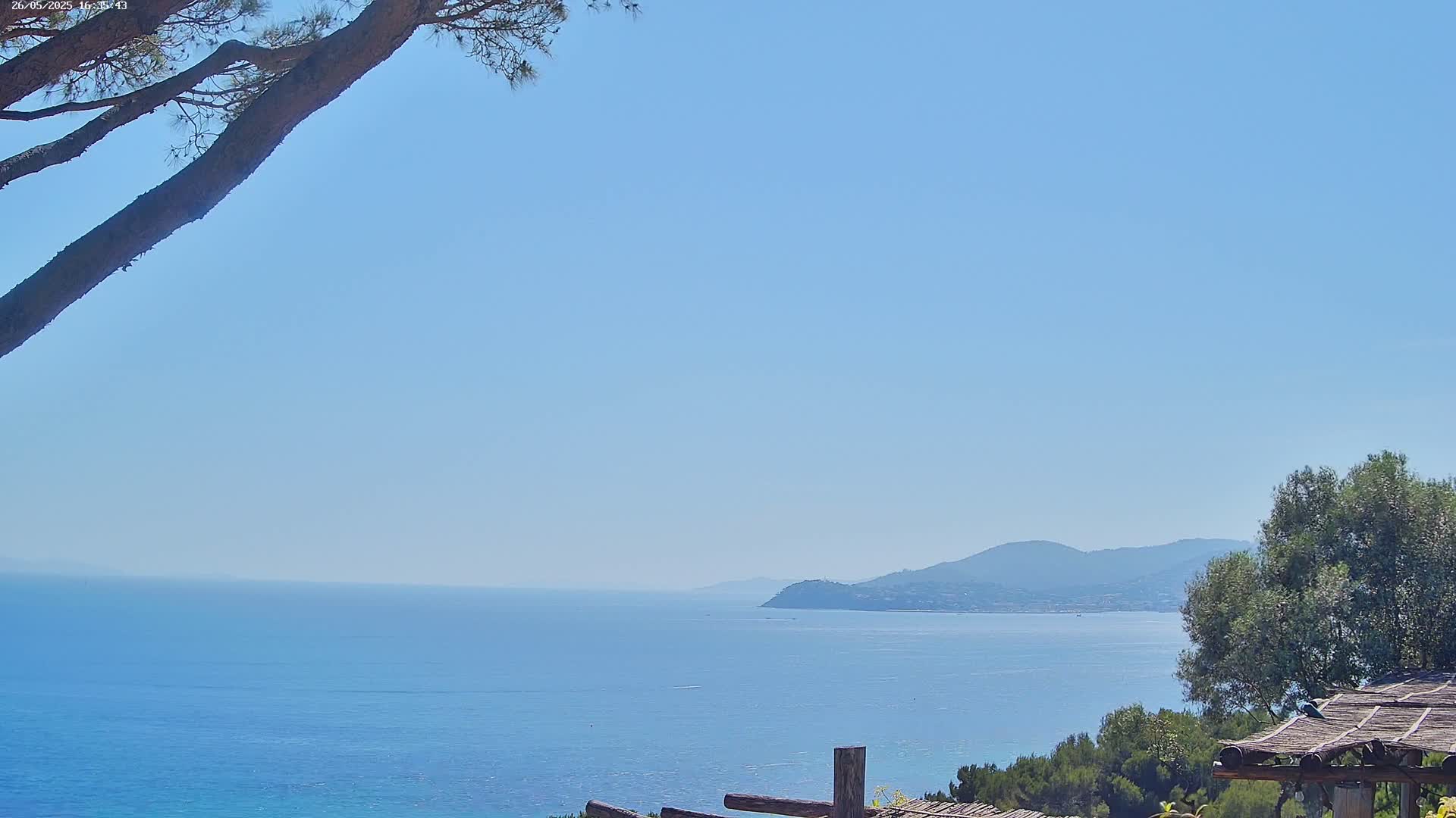 A tranquil seaside scene under a clear blue sky shows a calm ocean extending to distant mountains, partially obscured by a tree branch in the foreground and vegetation along the coastline.