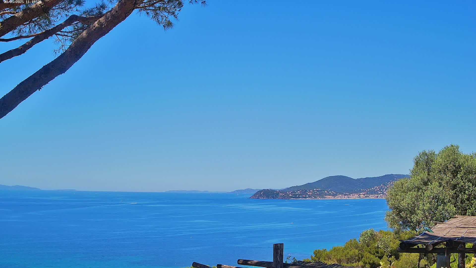 A tranquil ocean scene under a clear blue sky is viewed from a high vantage point, partially obscured by tree branches and vegetation in the foreground.