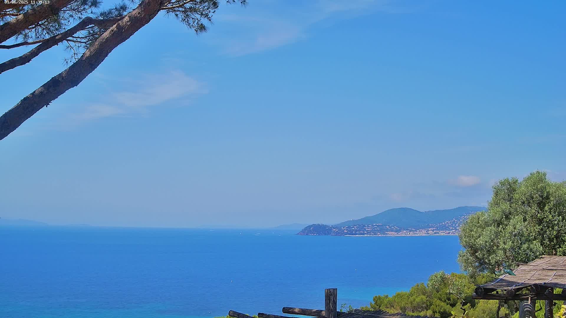 A calm, blue ocean stretches to a distant coastline under a clear, bright blue sky, partially obscured by a tree branch in the foreground and a wooden structure in the lower right corner.