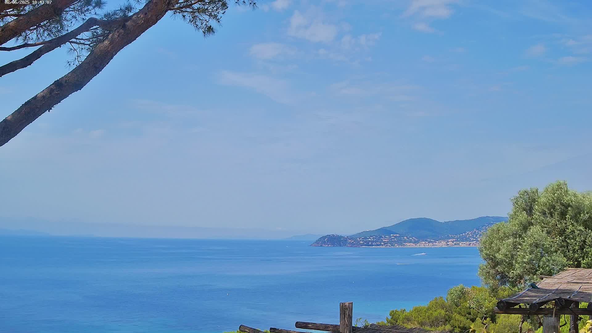 A tranquil ocean view on a partly cloudy day, with a pine tree branch in the foreground and distant hills visible across the water.