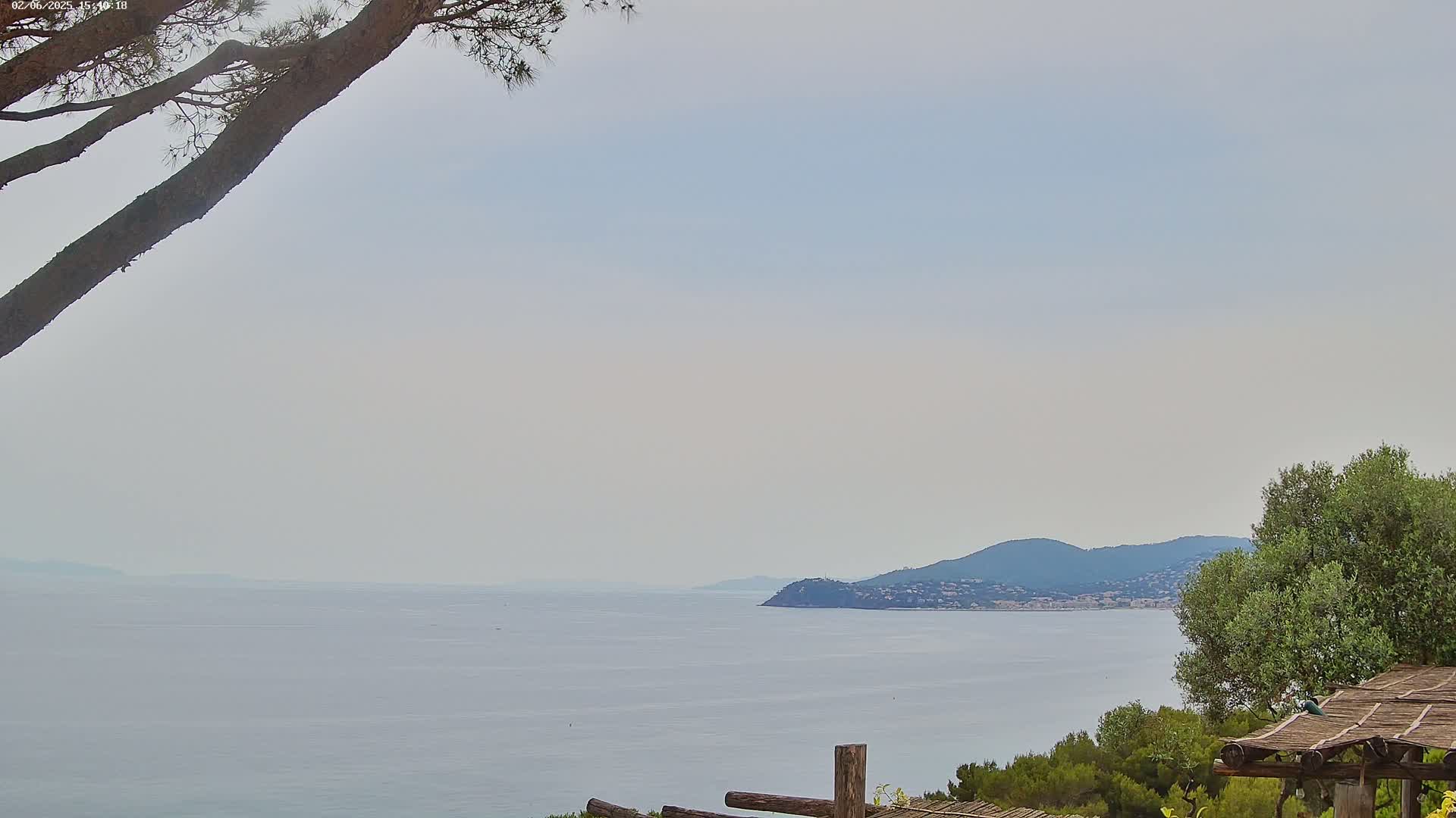 A hazy, calm ocean stretches to a distant coastline with low hills under a pale sky, partially obscured by tree branches in the foreground.