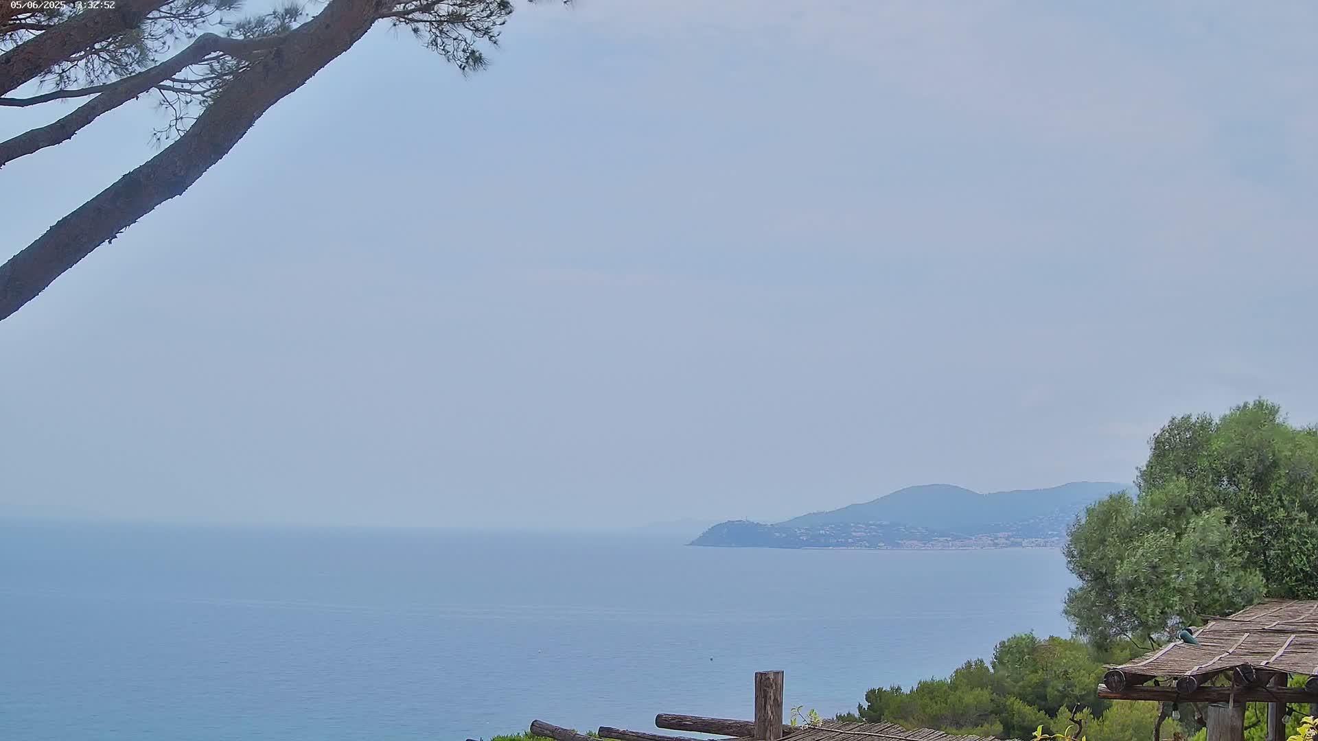 A hazy, pale-blue ocean stretches to a distant coastline under a mostly clear sky, partially obscured by tree branches in the foreground and a wooden pergola.