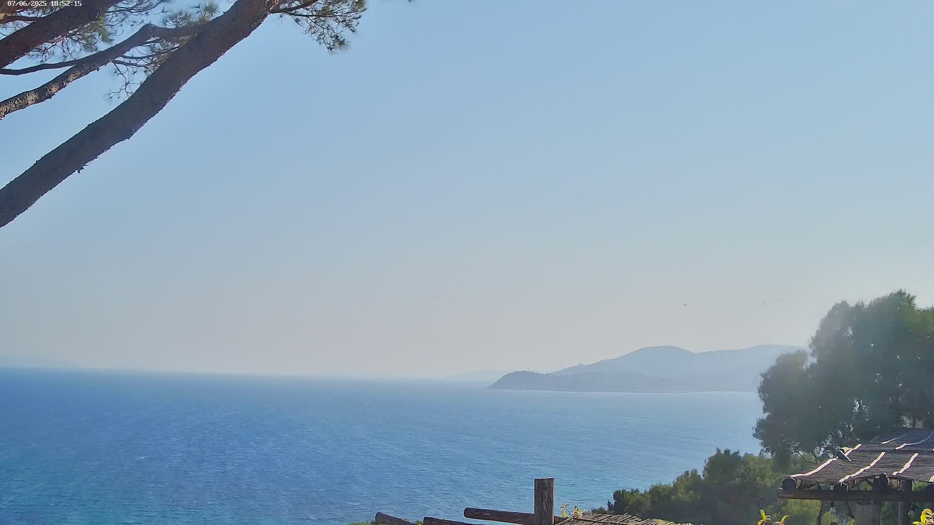 A calm, hazy blue sea extends to a distant, hazy mountain range under a clear, light-blue sky, partially obscured by a pine tree branch in the foreground.