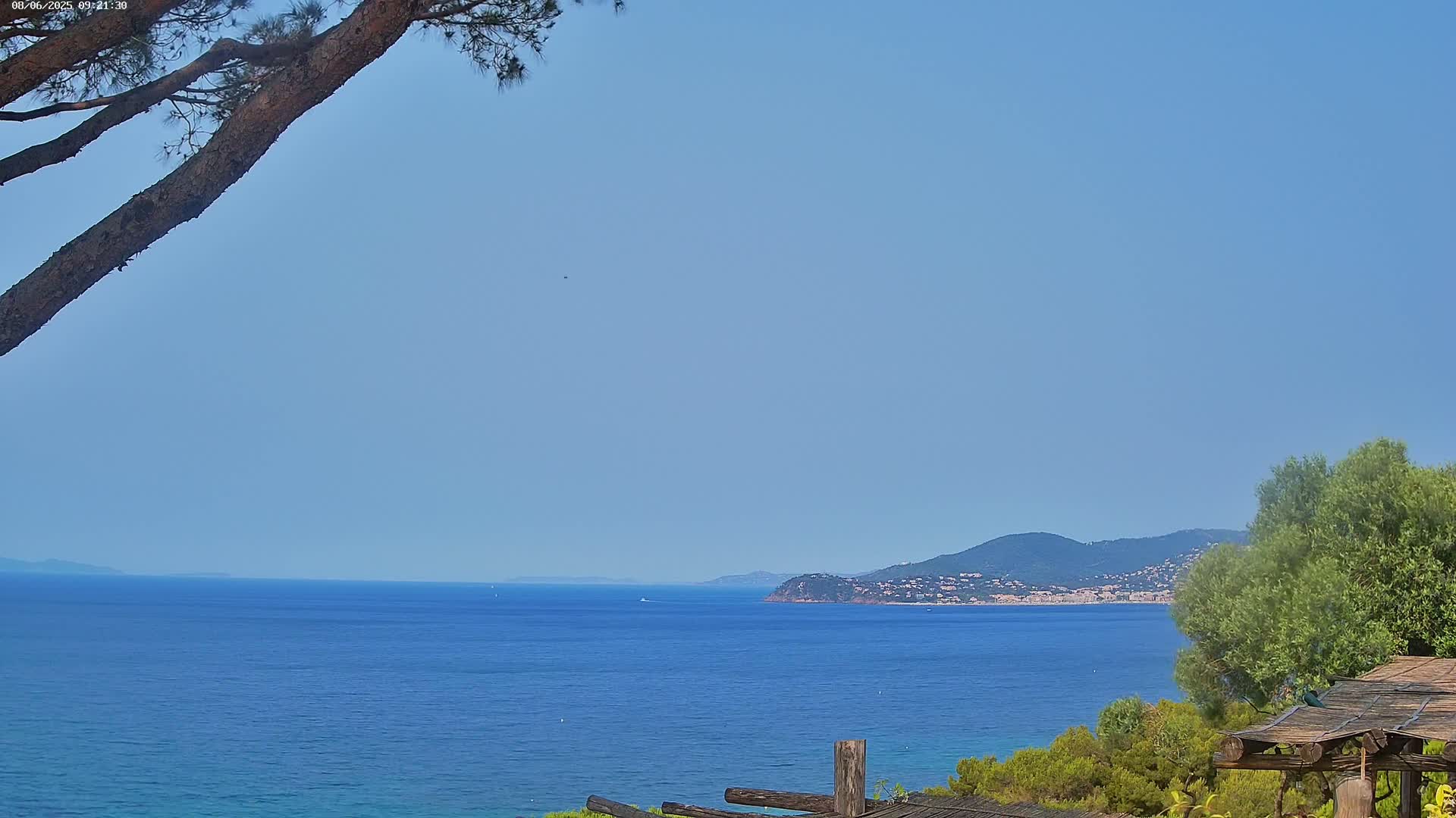 A calm, blue sea stretches to a distant mountain range under a clear sky, partially obscured by a pine tree branch and a wooden structure in the foreground.