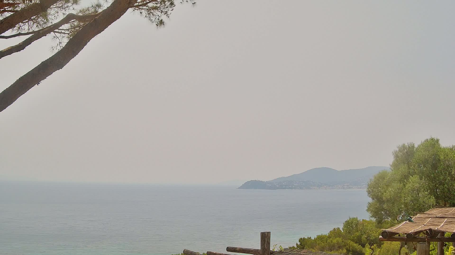 A hazy, calm ocean stretches to a distant, hilly coastline, partially obscured by tree branches in the foreground.
