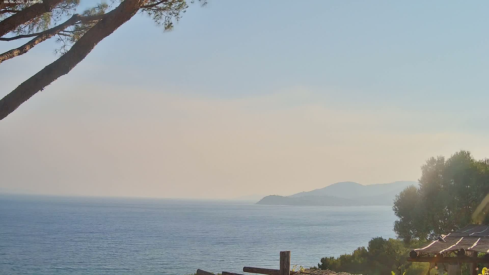 A hazy, sunny day reveals a calm sea stretching to distant, hazy hills under a pale blue sky, partially obscured by tree branches in the foreground.