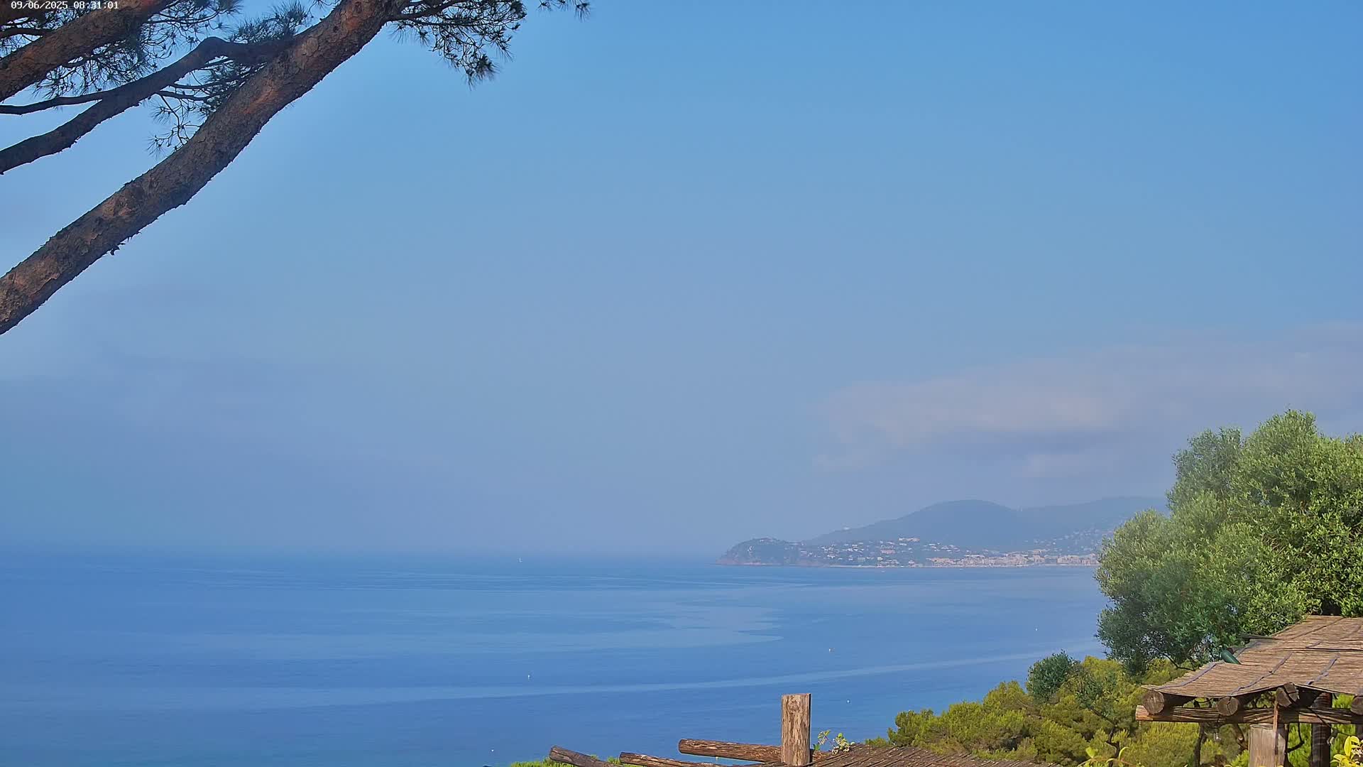 Lily of the Valley, La Croix-Valmer Panaromic Live Cam - Draguignan,  Var, Provence-Alpes-Cote d’Azur, France