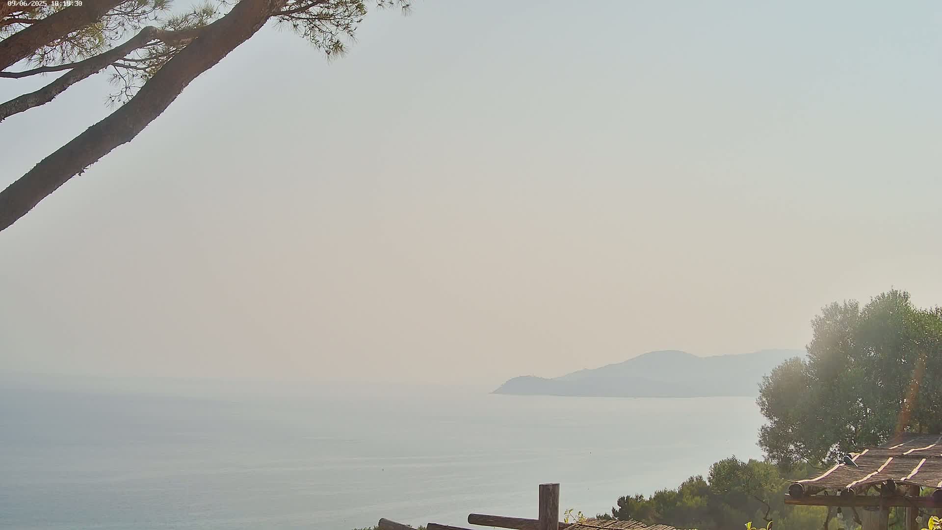 A hazy, light-colored sky overlooks a calm sea with a distant landmass visible, partially obscured by trees and a wooden structure in the foreground.