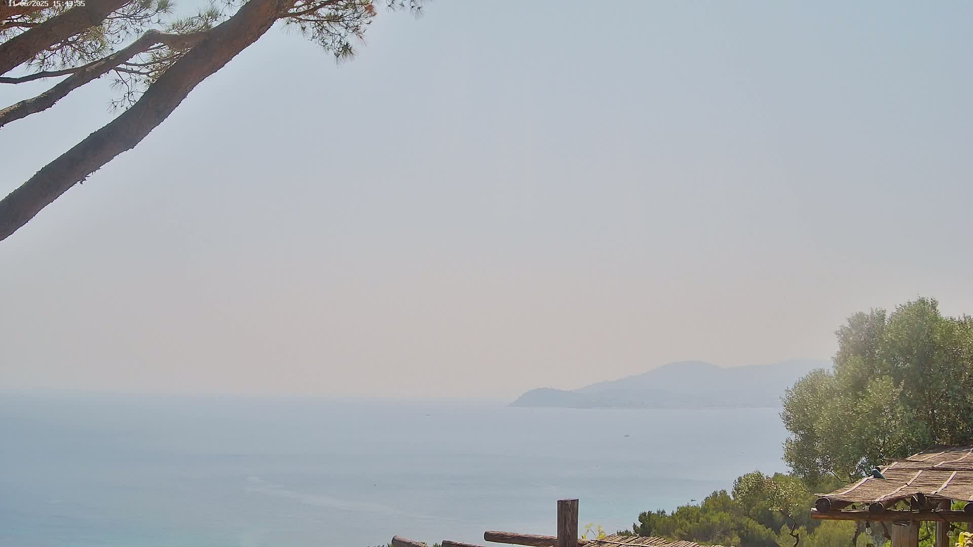 A hazy, sunny view of a calm sea and distant mountains seen from a hillside with pine branches and a wooden pergola in the foreground.