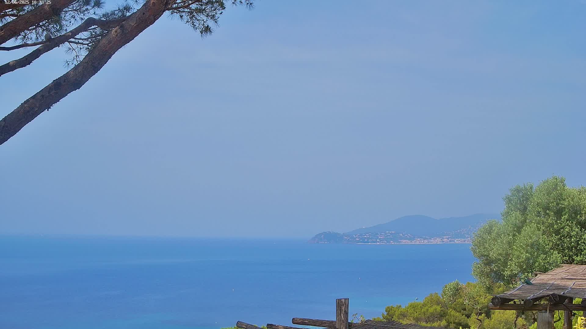 A calm blue ocean stretches to a distant hazy mountain range under a clear, light-blue sky, partially obscured by a pine tree branch and a wooden structure in the foreground.