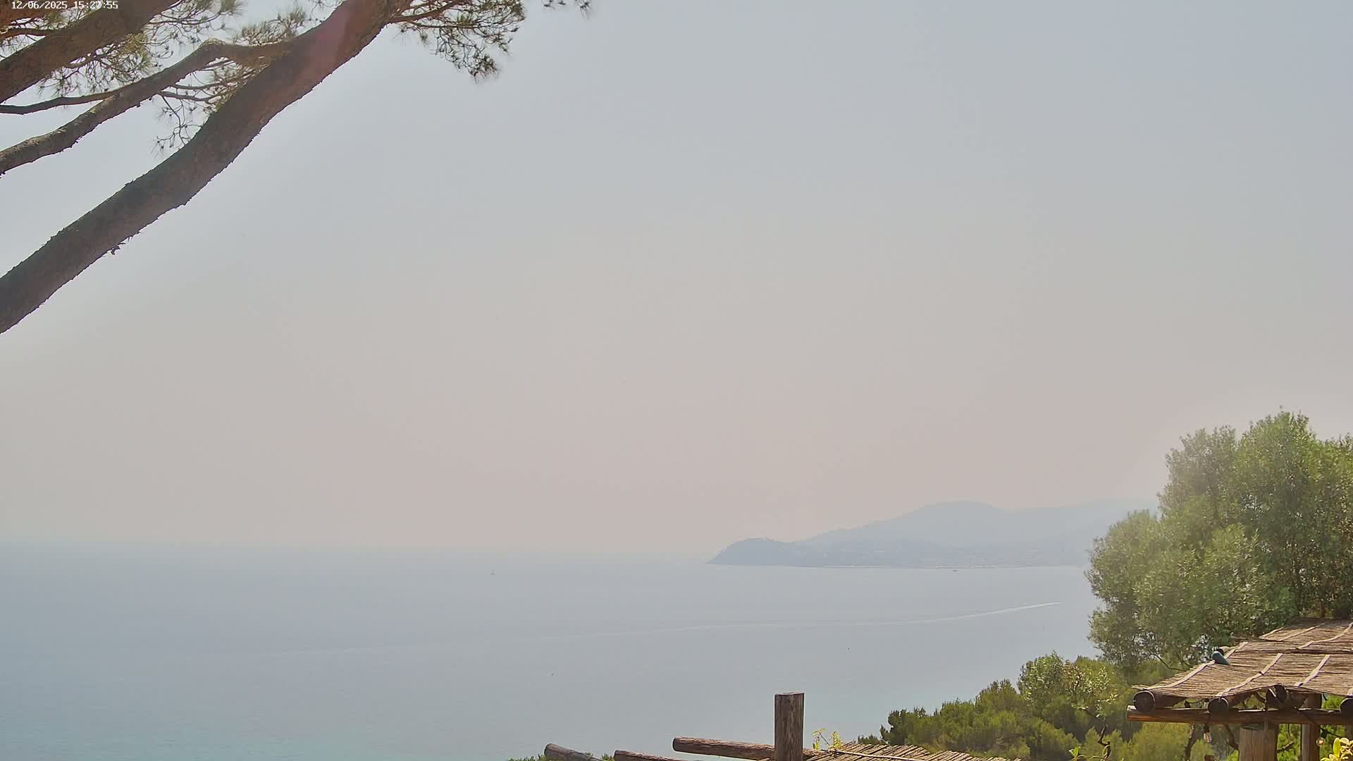 A hazy, light-grey sky overlooks a calm sea with a distant landmass, partially obscured by a tree and wooden structure in the foreground.