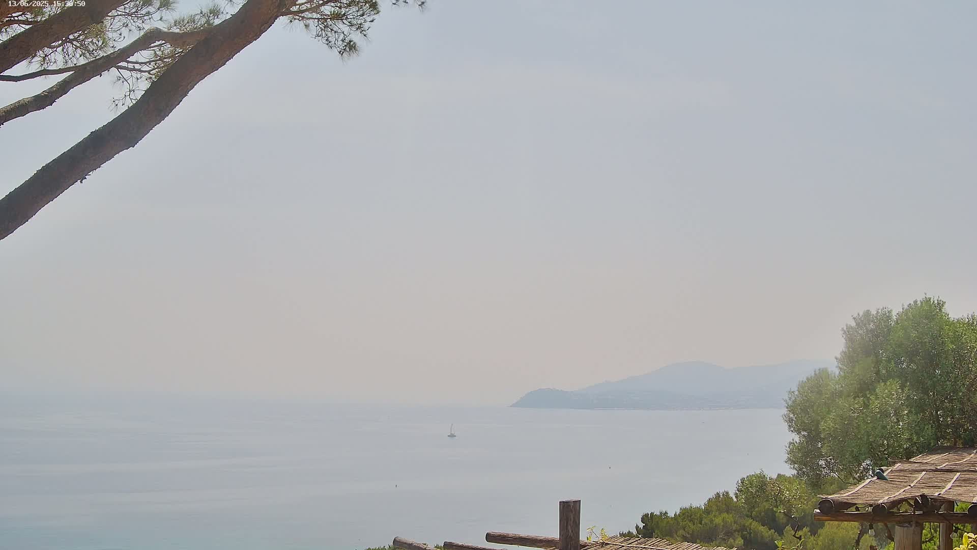 A hazy, calm sea stretches to a distant mountain range, partially obscured by a pine tree branch and a wooden pergola.