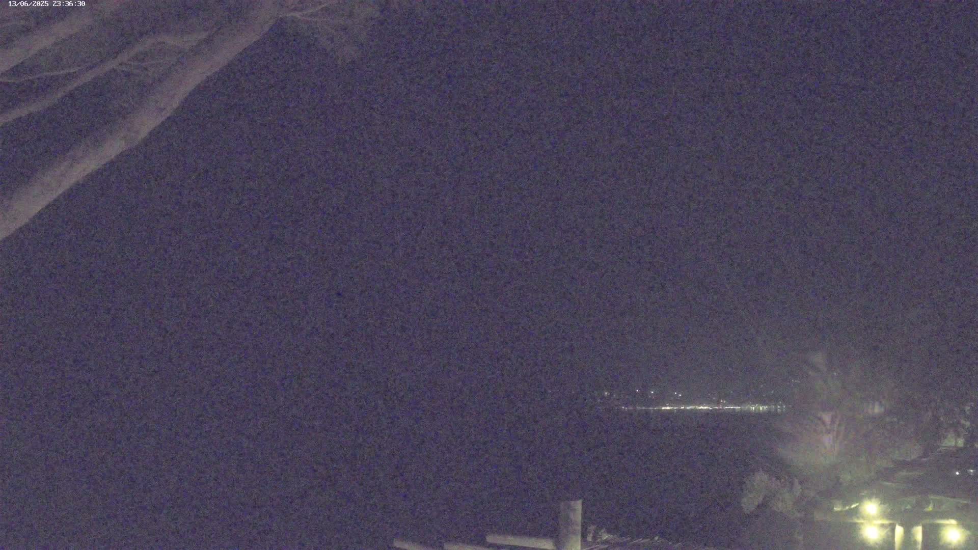 A nighttime view of a dark body of water with faintly visible lights across it, partially obscured by tree branches in the foreground.