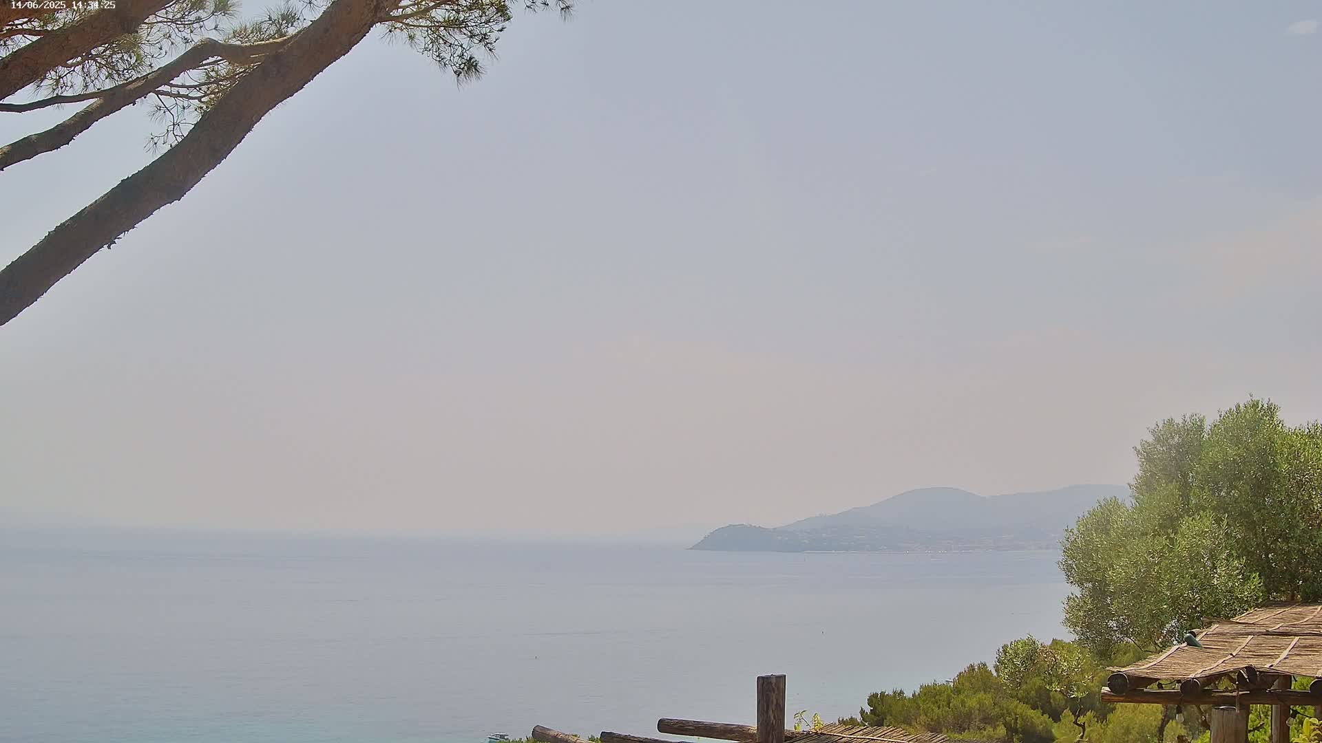 A hazy coastal view shows a calm sea extending to a distant mountain range, partially obscured by a tree branch in the foreground and some vegetation to the right.