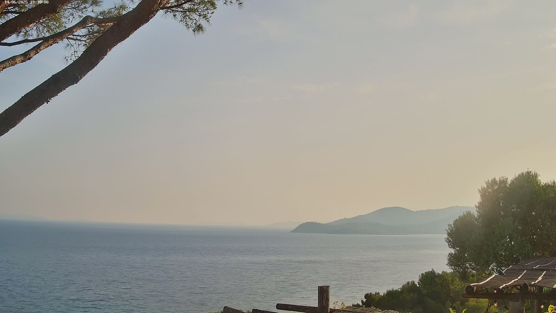 A calm sea stretches to a hazy, distant mountain range under a pale, clear sky, partially obscured by a tree branch in the foreground.