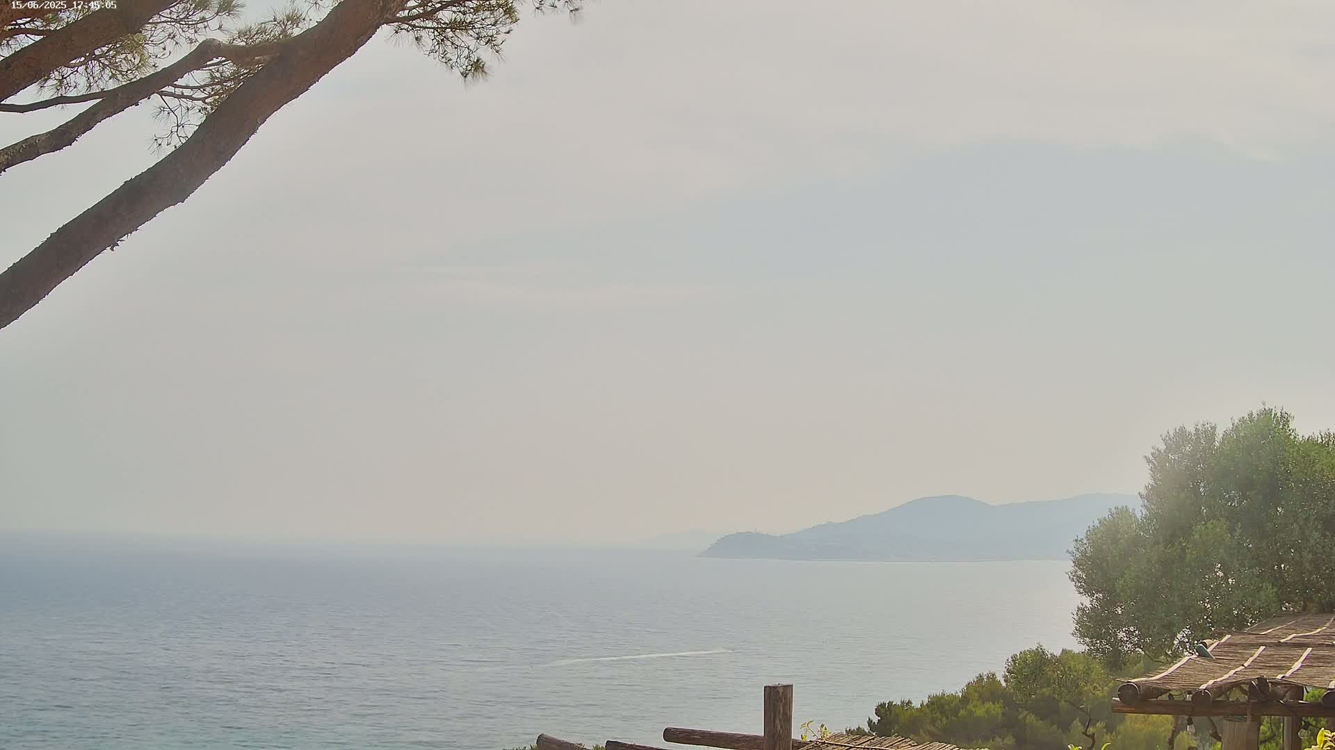 A hazy, calm ocean stretches to a distant, low-lying mountain range, viewed from a coastal vantage point partially obscured by tree branches and a wooden pergola.