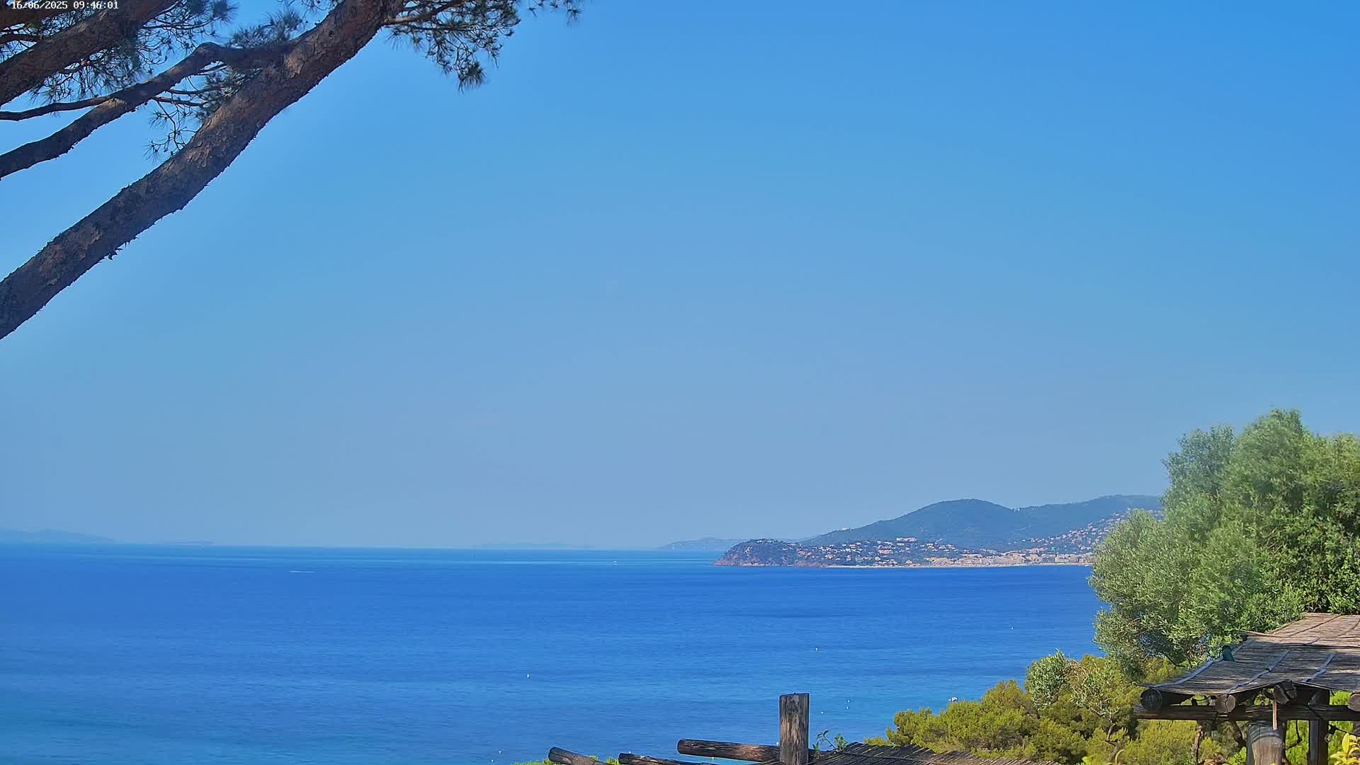 A clear blue sky overlooks a calm blue sea meeting a distant mountainous coastline, partially obscured by a pine tree branch and some vegetation in the foreground.