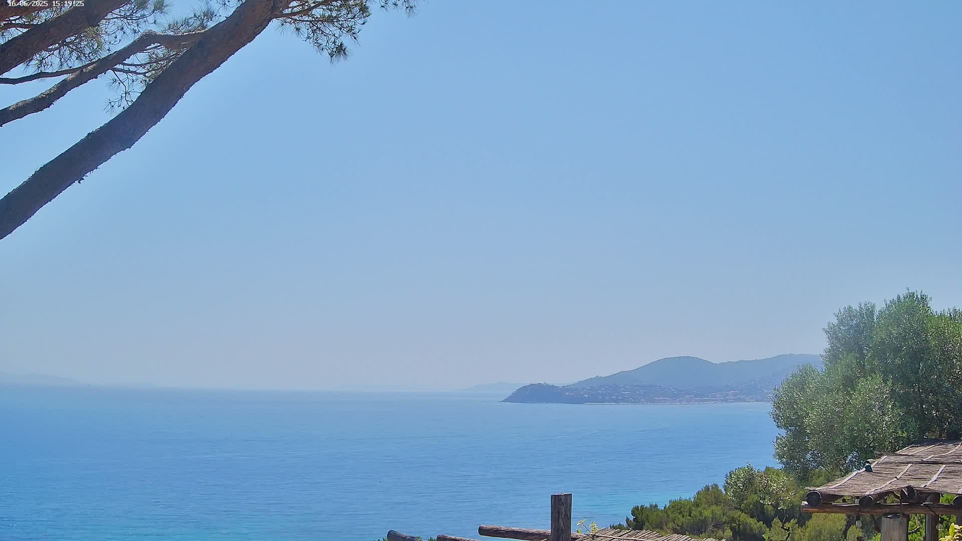 A tranquil ocean scene under a clear blue sky is partially obscured by the branches of a tree in the foreground, with a distant mountain visible on the horizon.