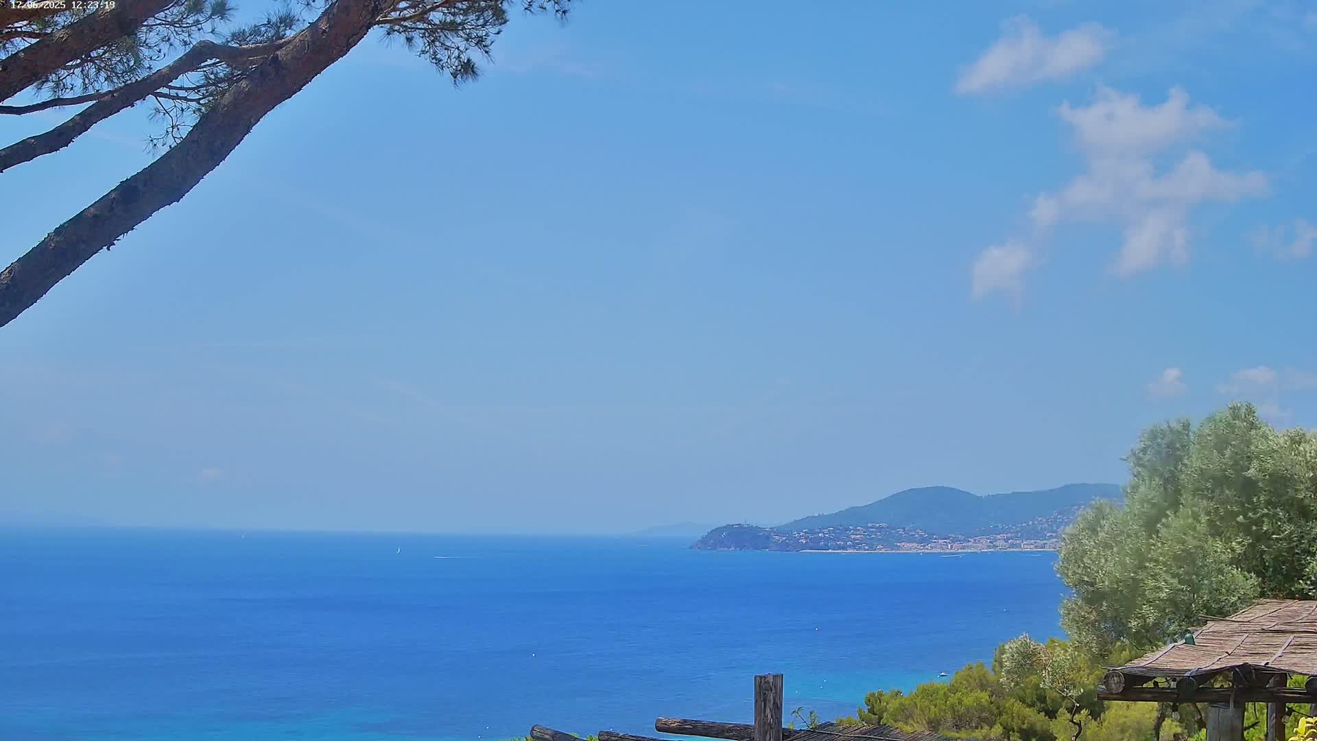 A partly cloudy blue sky overlooks a calm, blue ocean with a distant coastline and a tree branch in the foreground.