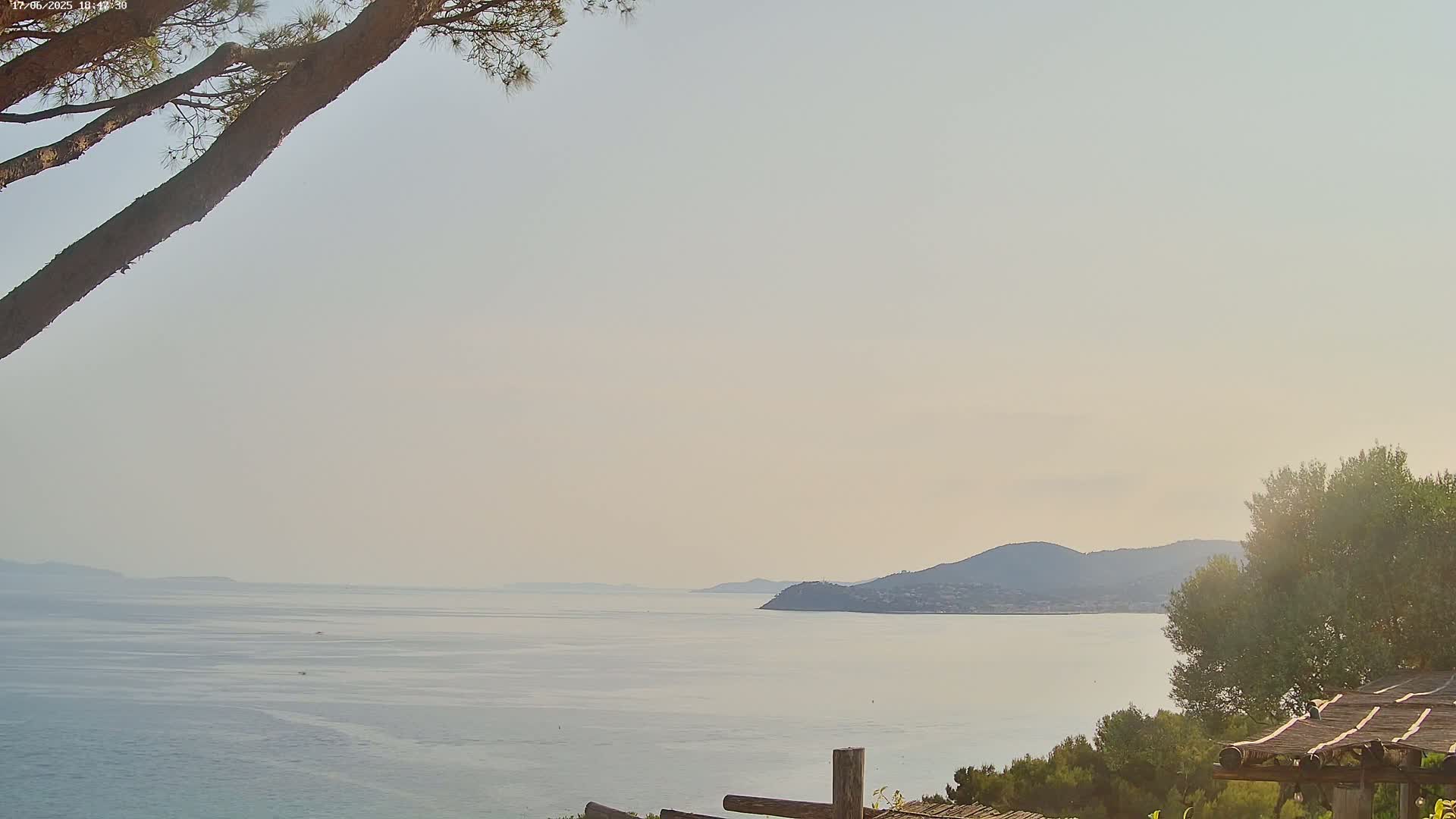 A hazy, calm sea stretches to distant hills under a pale sky, partially obscured by the branches of a pine tree in the foreground.