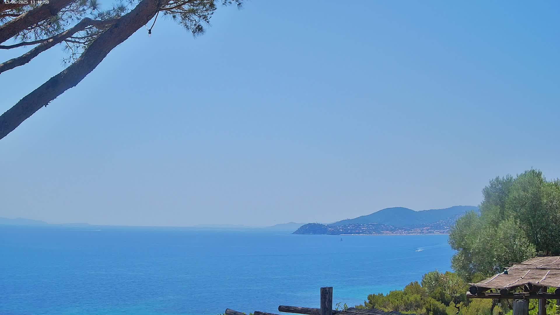 A tranquil seaside view on a clear, sunny day shows a calm blue sea extending to distant mountains, partially obscured by the branches of a pine tree in the foreground.