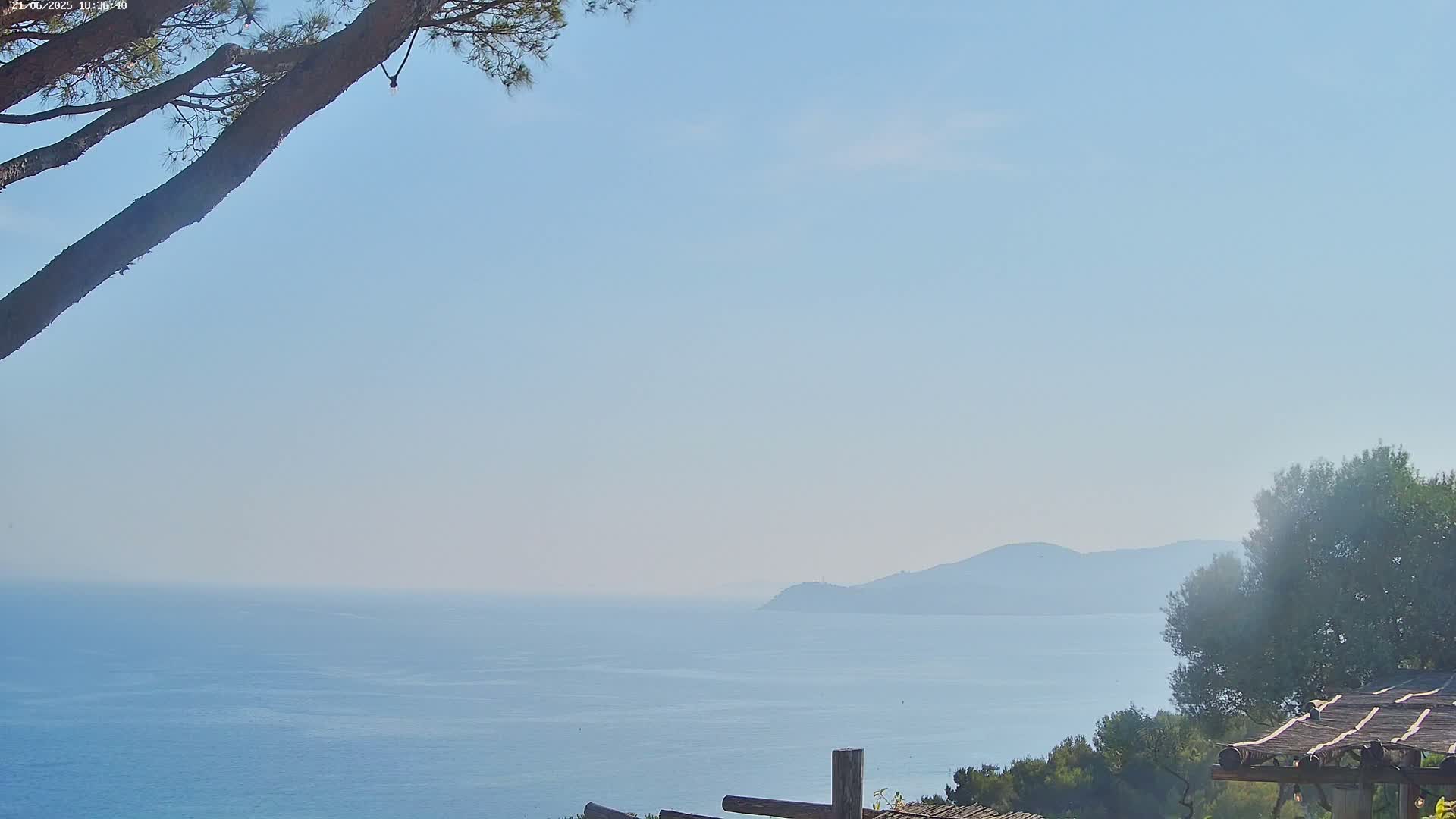 A tranquil ocean view stretches to a hazy, distant mountain range under a clear, light-blue sky, partially obscured by the branches of a pine tree and other vegetation.